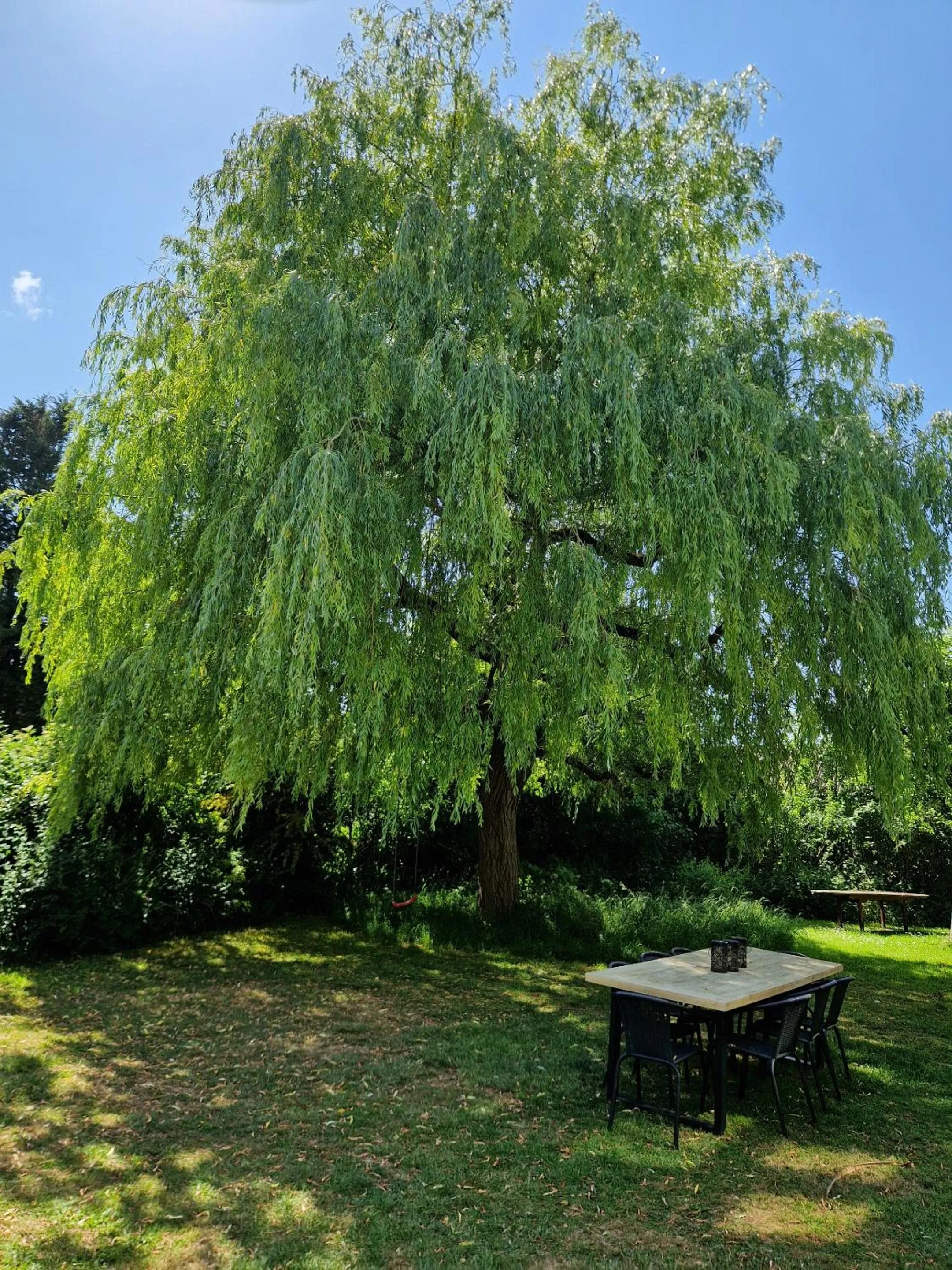 Garden in Worth House Bed and Breakfast