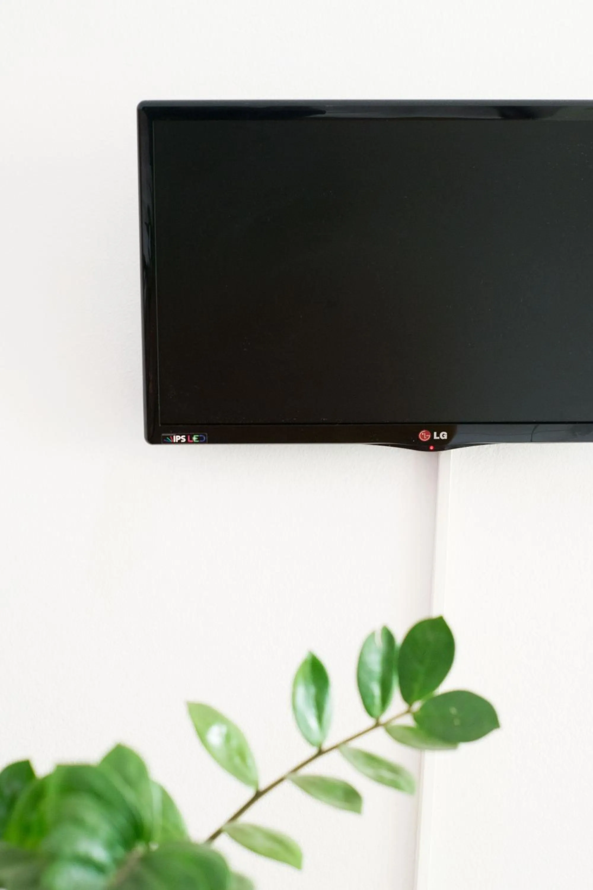 TV and multimedia in Greta Apartments