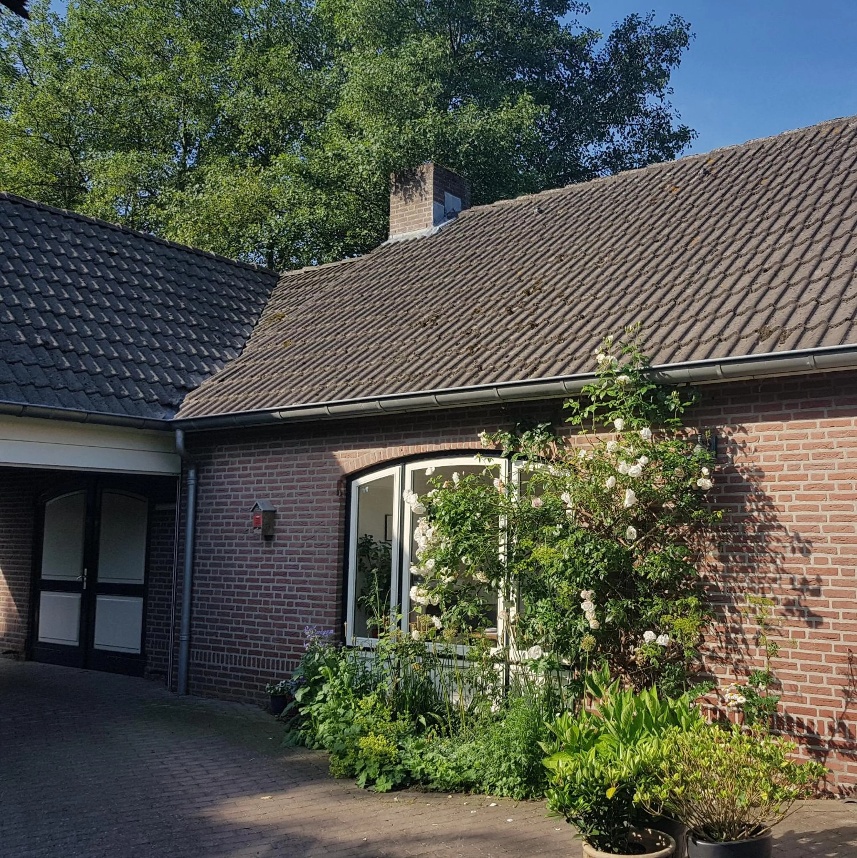 Facade/entrance in B&B Oostrik