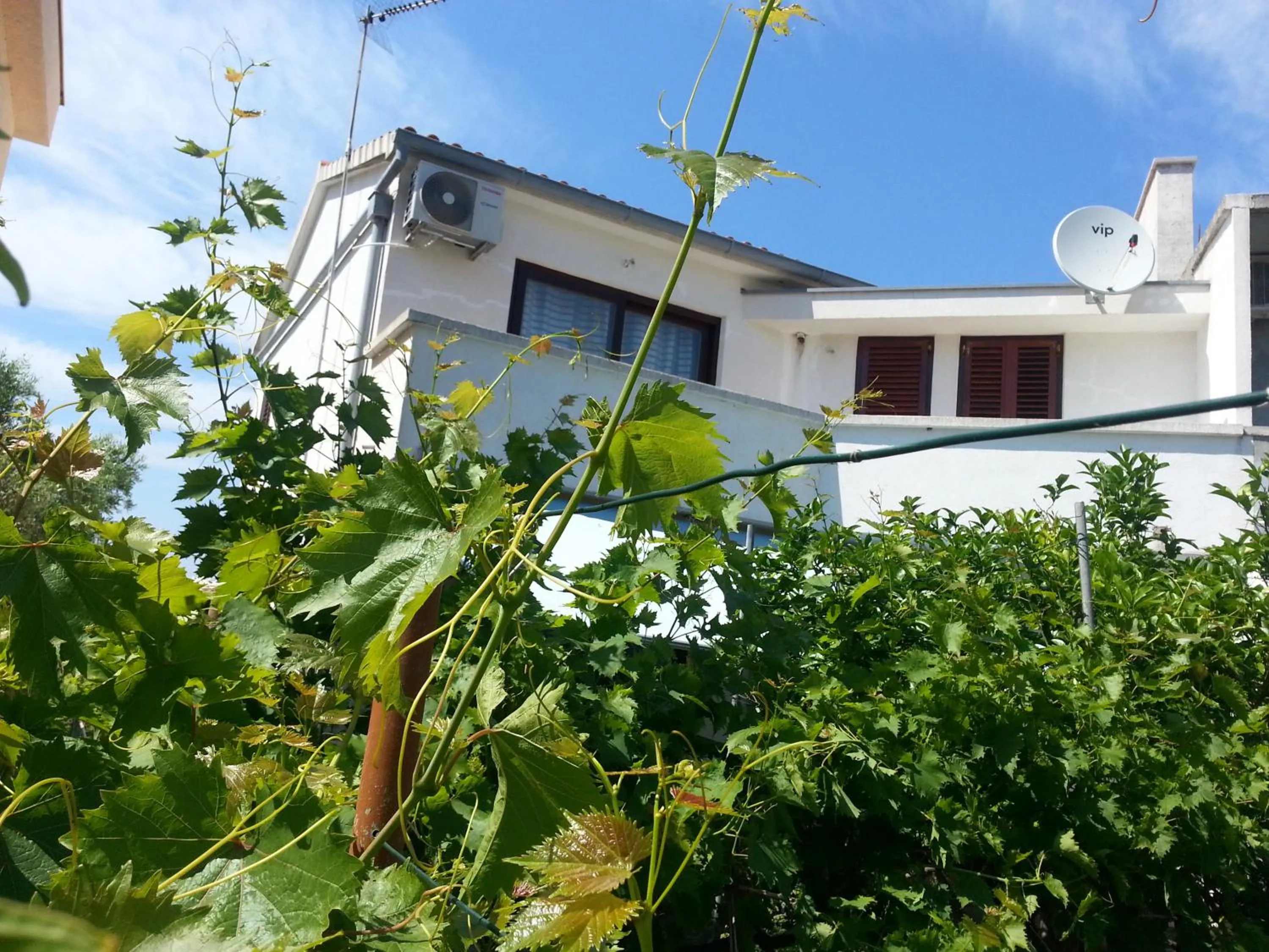Property building in Apartments Maslina Božava