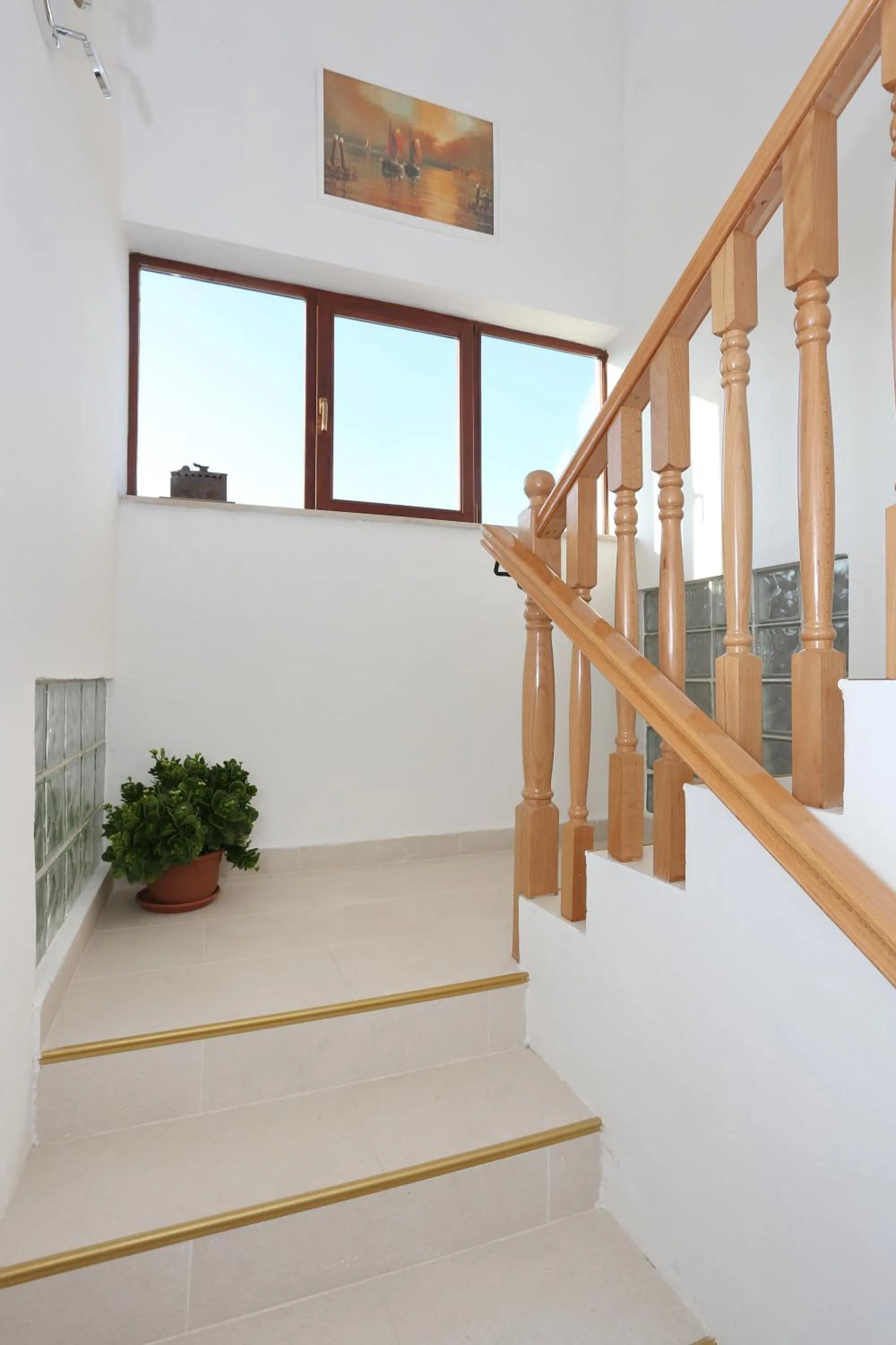 Property building in Apartments Maslina Božava