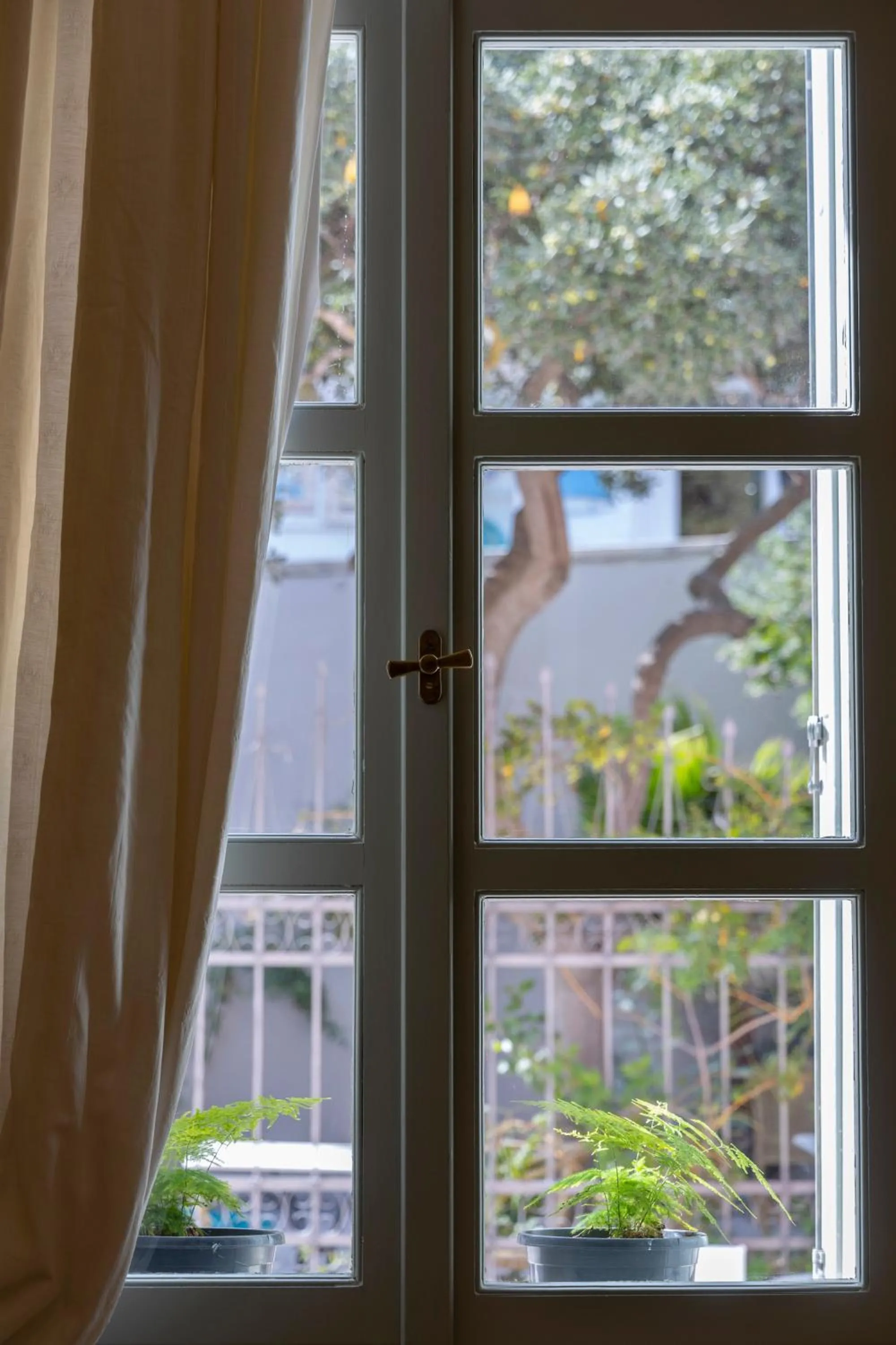 Garden view in Aria Lito Mansion