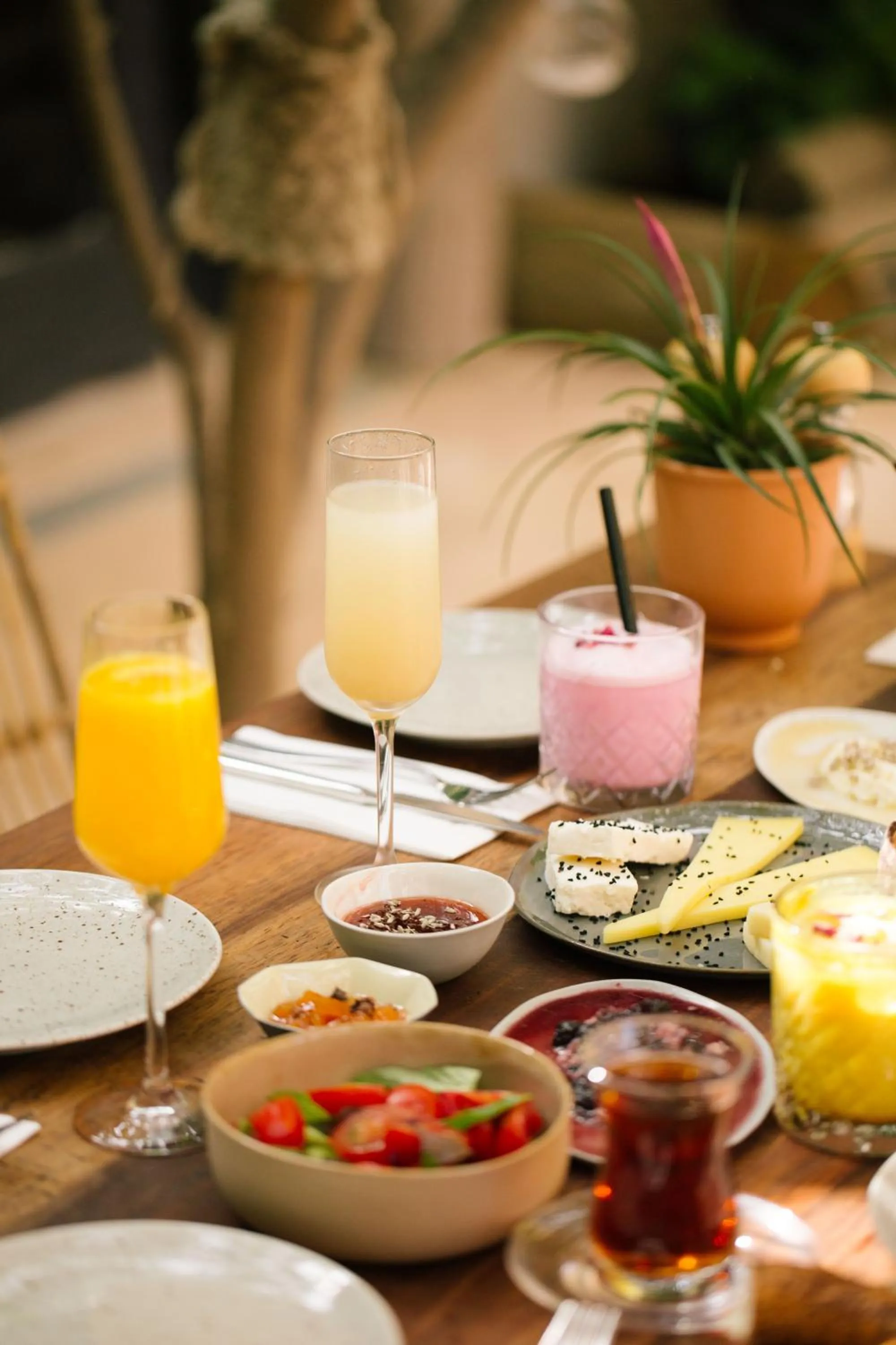 Food and drinks in GAIA ALAÇATI