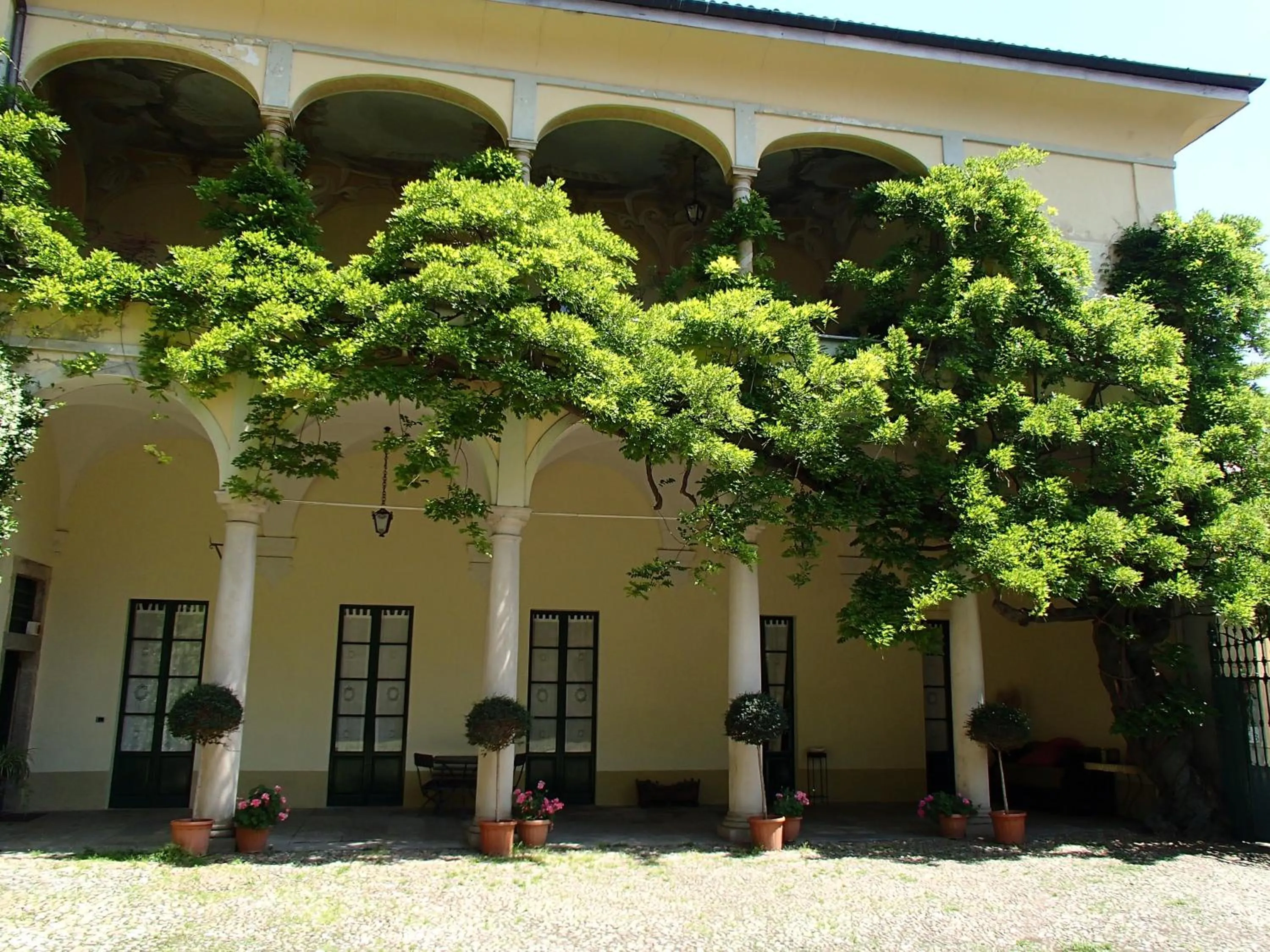 Property building in Palazzo Ronchelli