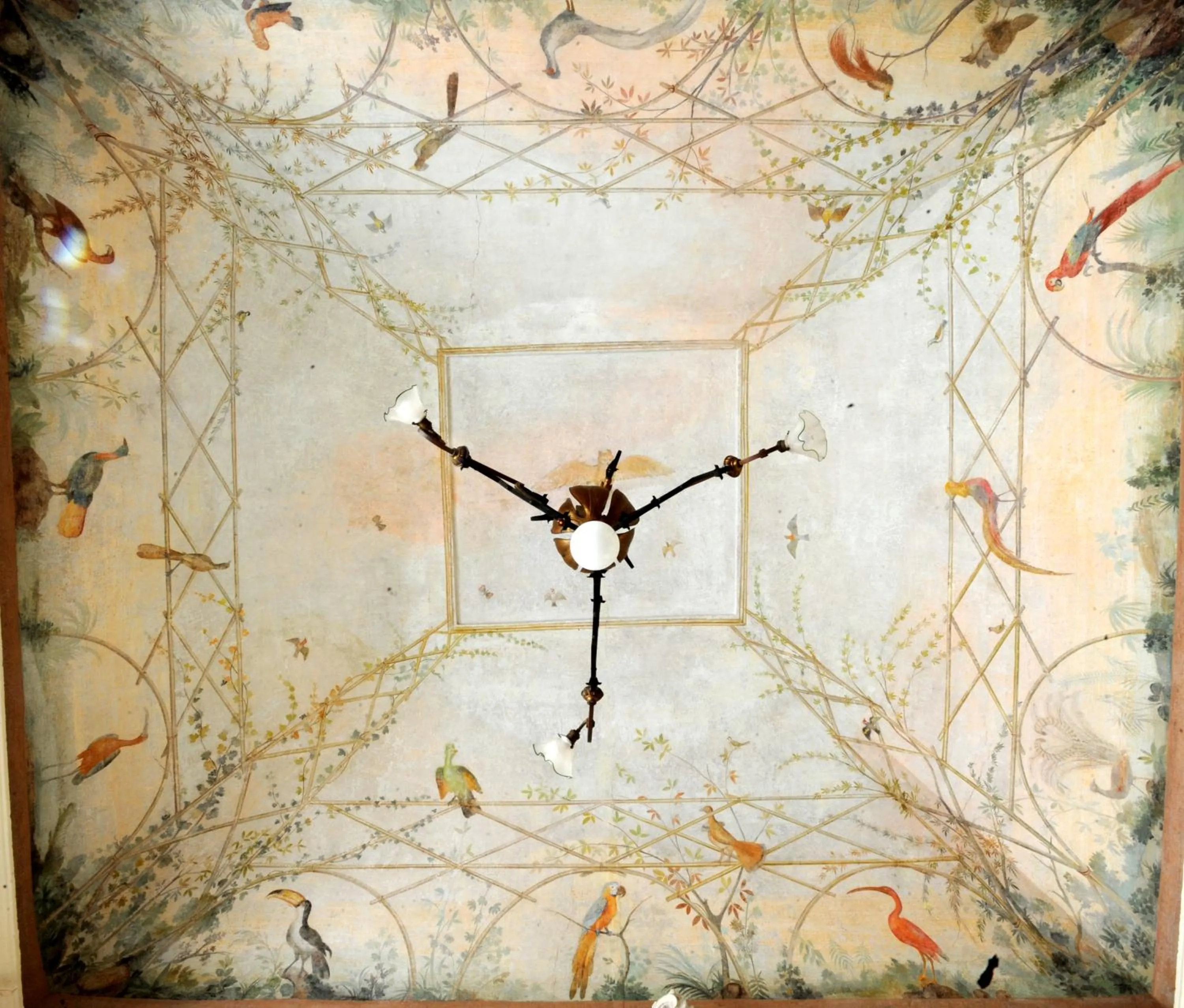 Other in Palazzo Ronchelli