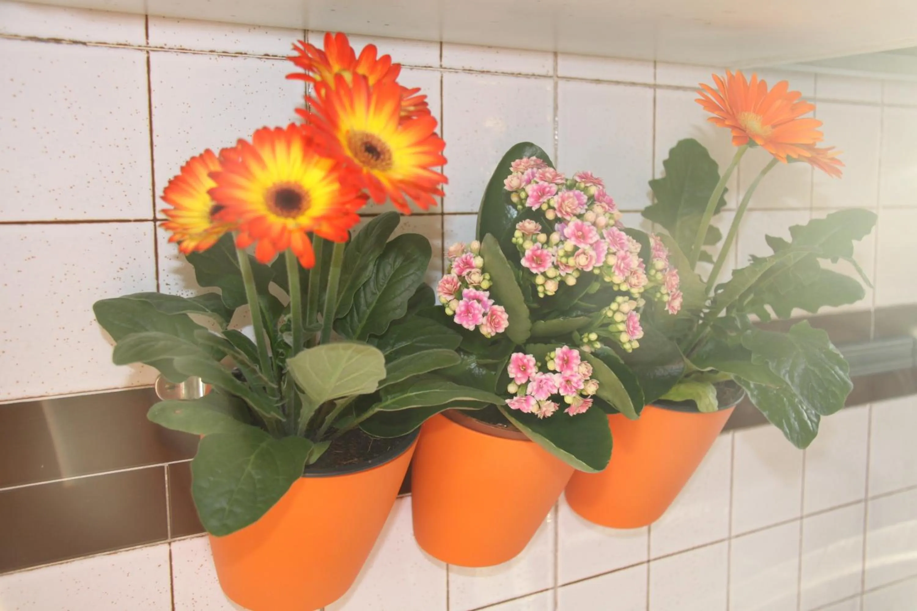 Decorative detail in Lotus B&B