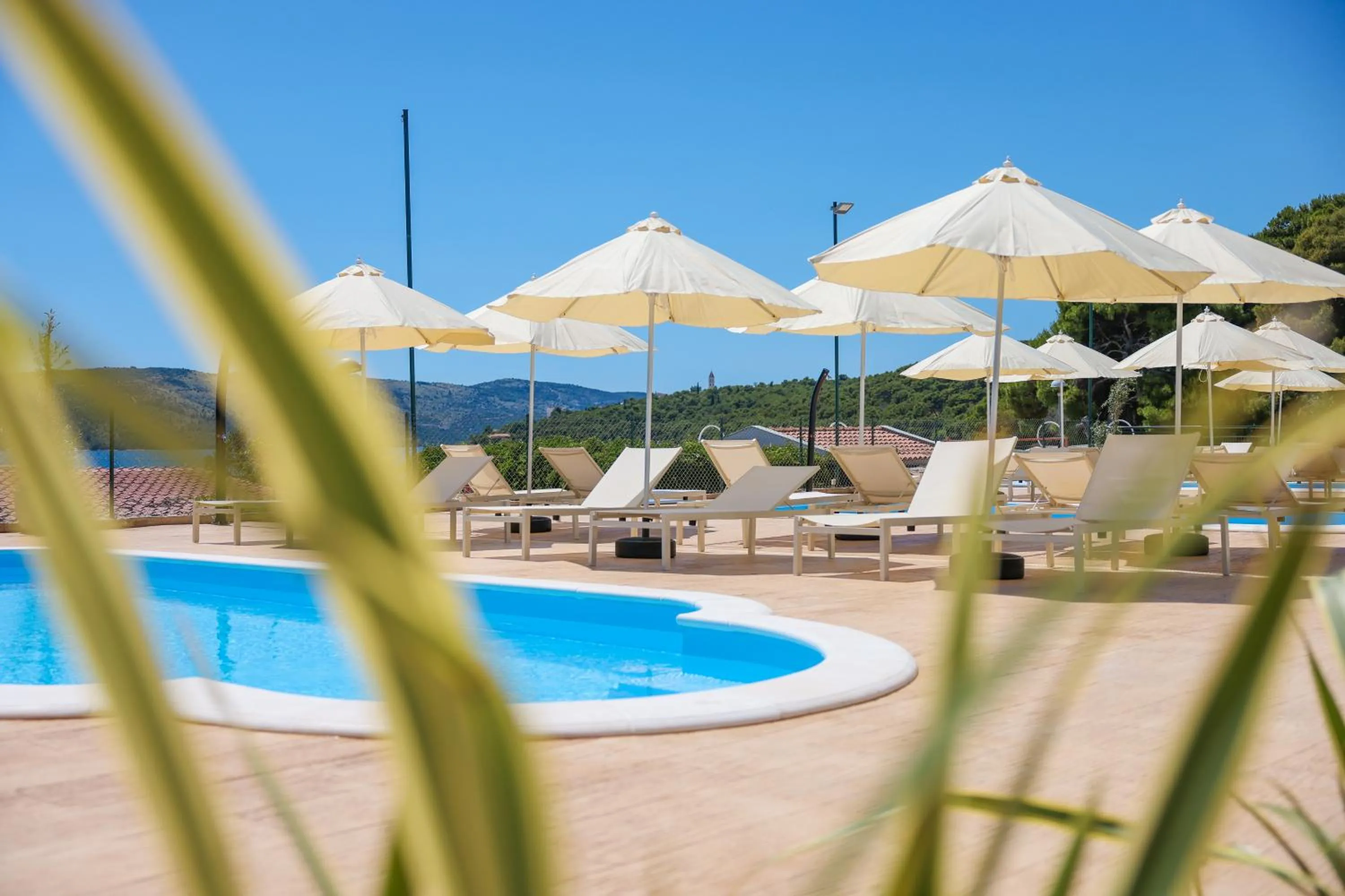 Swimming pool in Apartments Medena