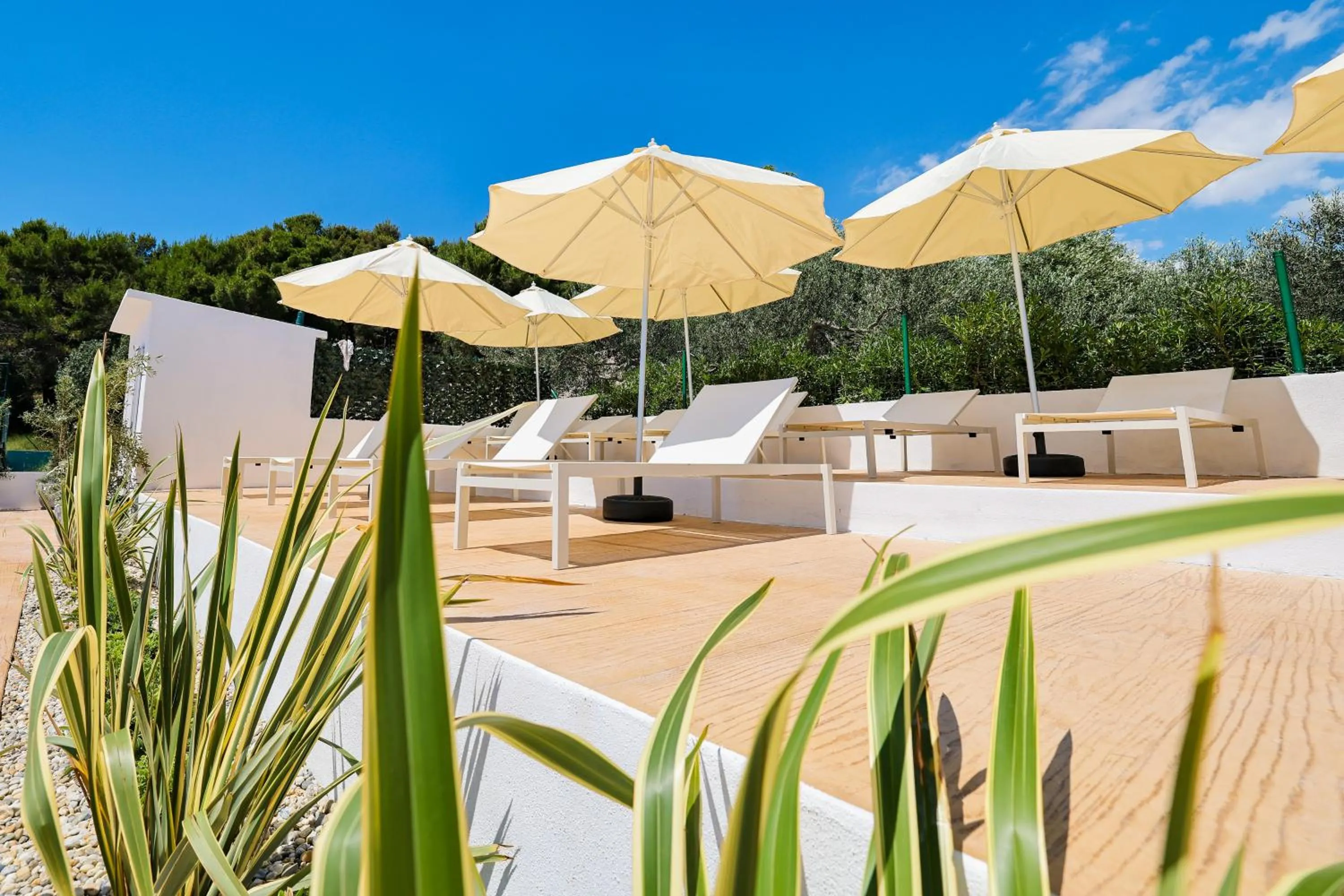 Day in Apartments Medena