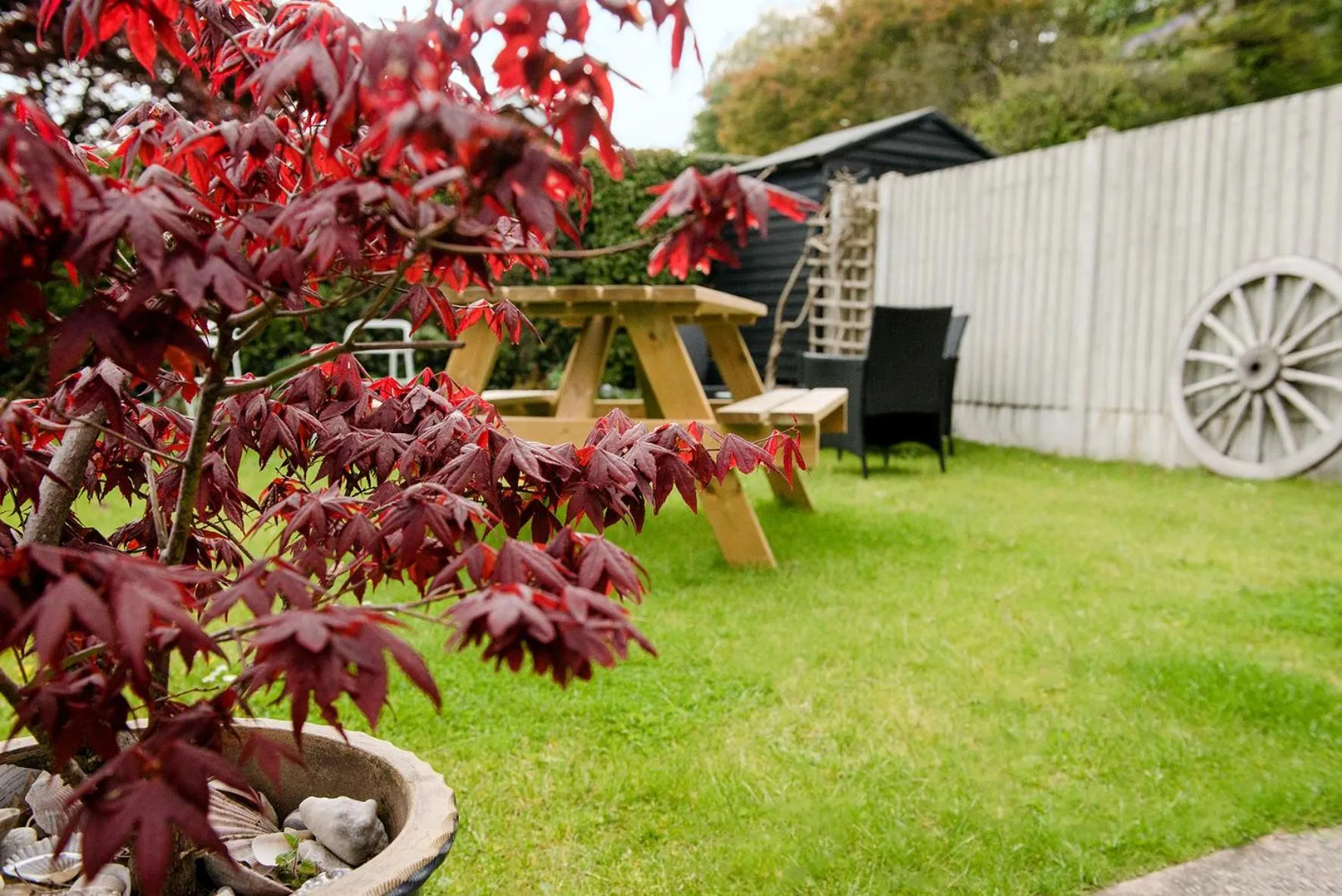 Garden in Mynd House