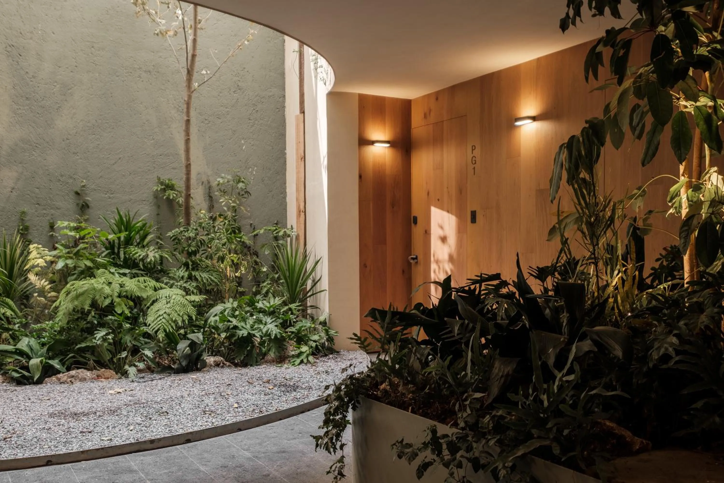 Garden in ONTO Alvaro Obregon Mexico City