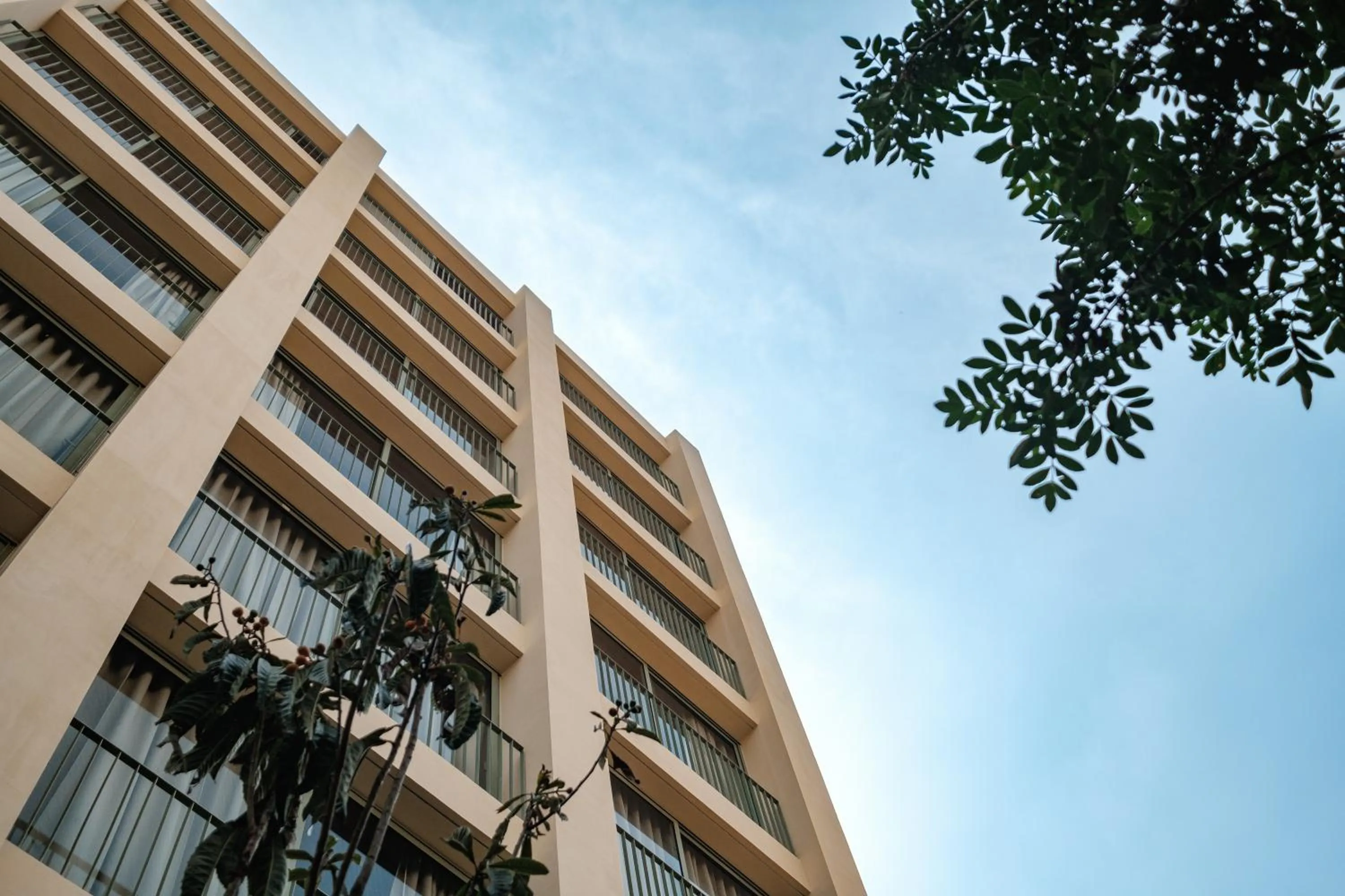 Property building in ONTO Alvaro Obregon Mexico City