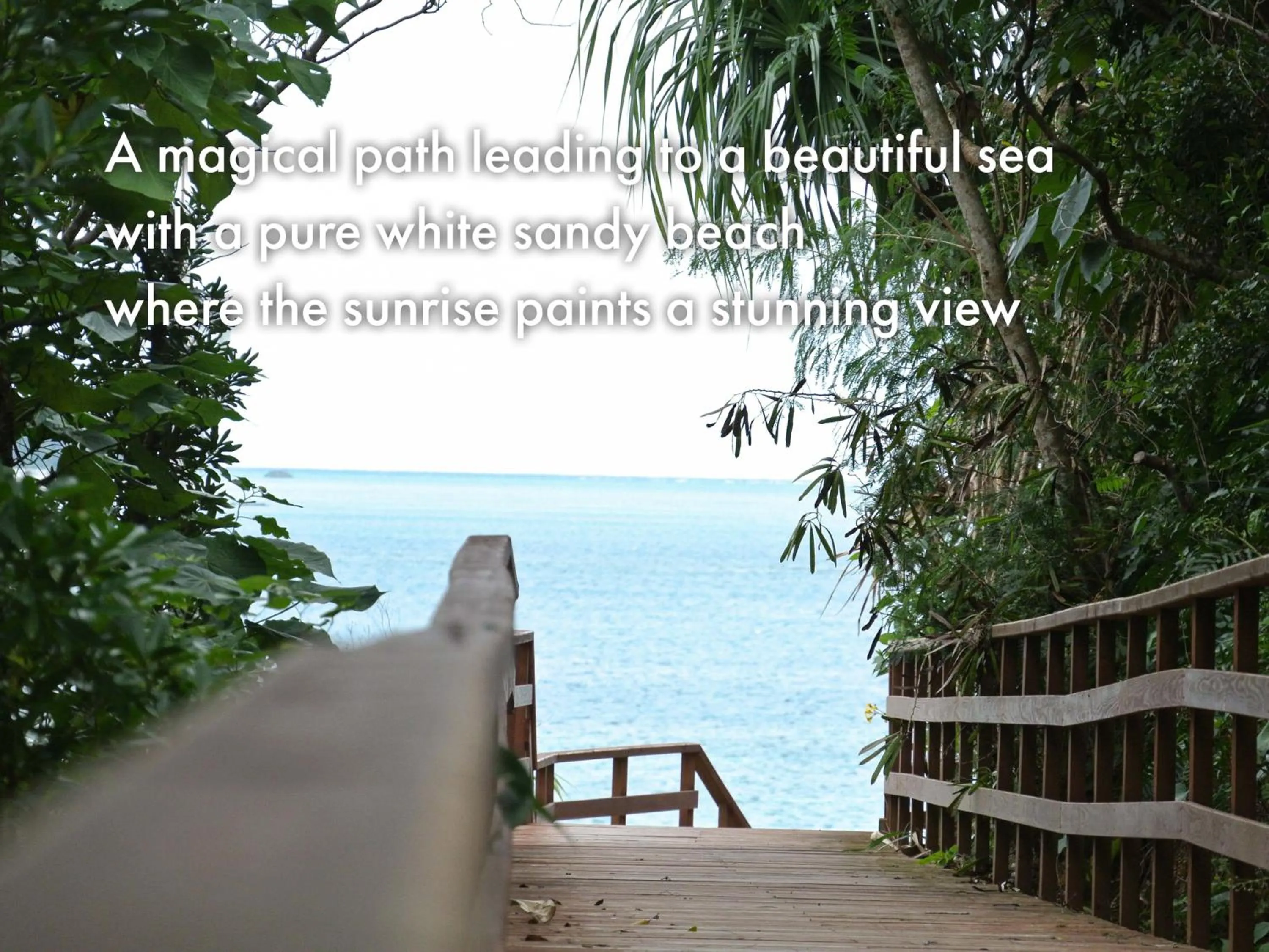 Off site in asbo stay hotel