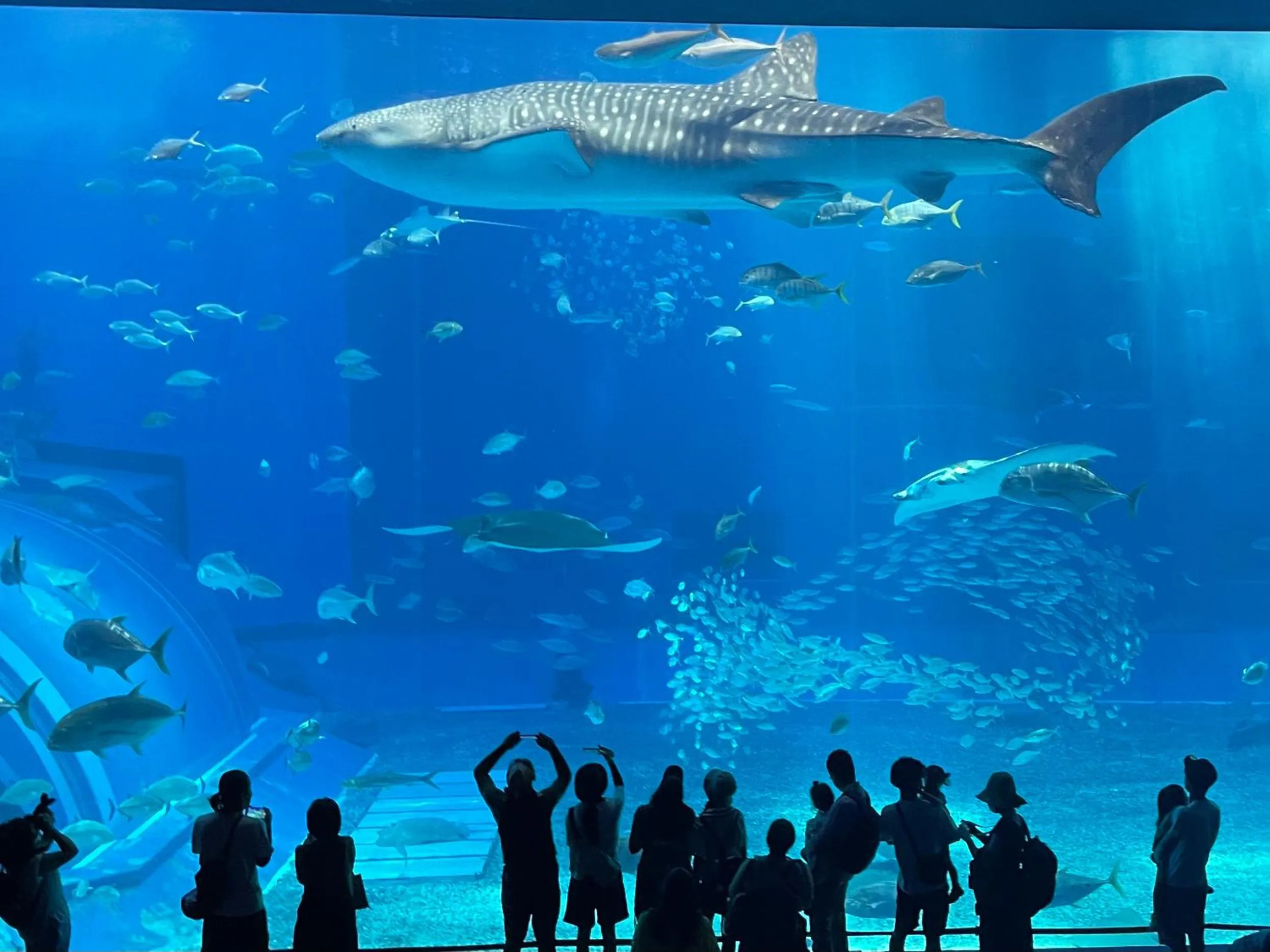 Nearby landmark in asbo stay hotel