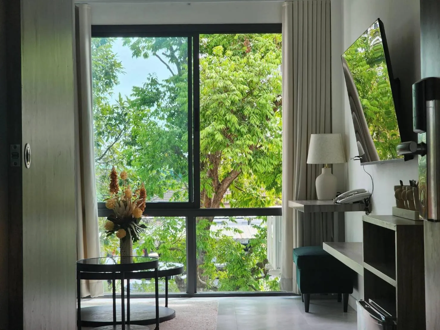 Natural landscape in Tree Airport Hotel Hatyai