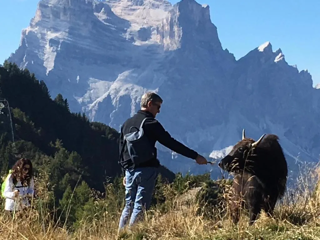 Activities in B&B Dolomitincanto