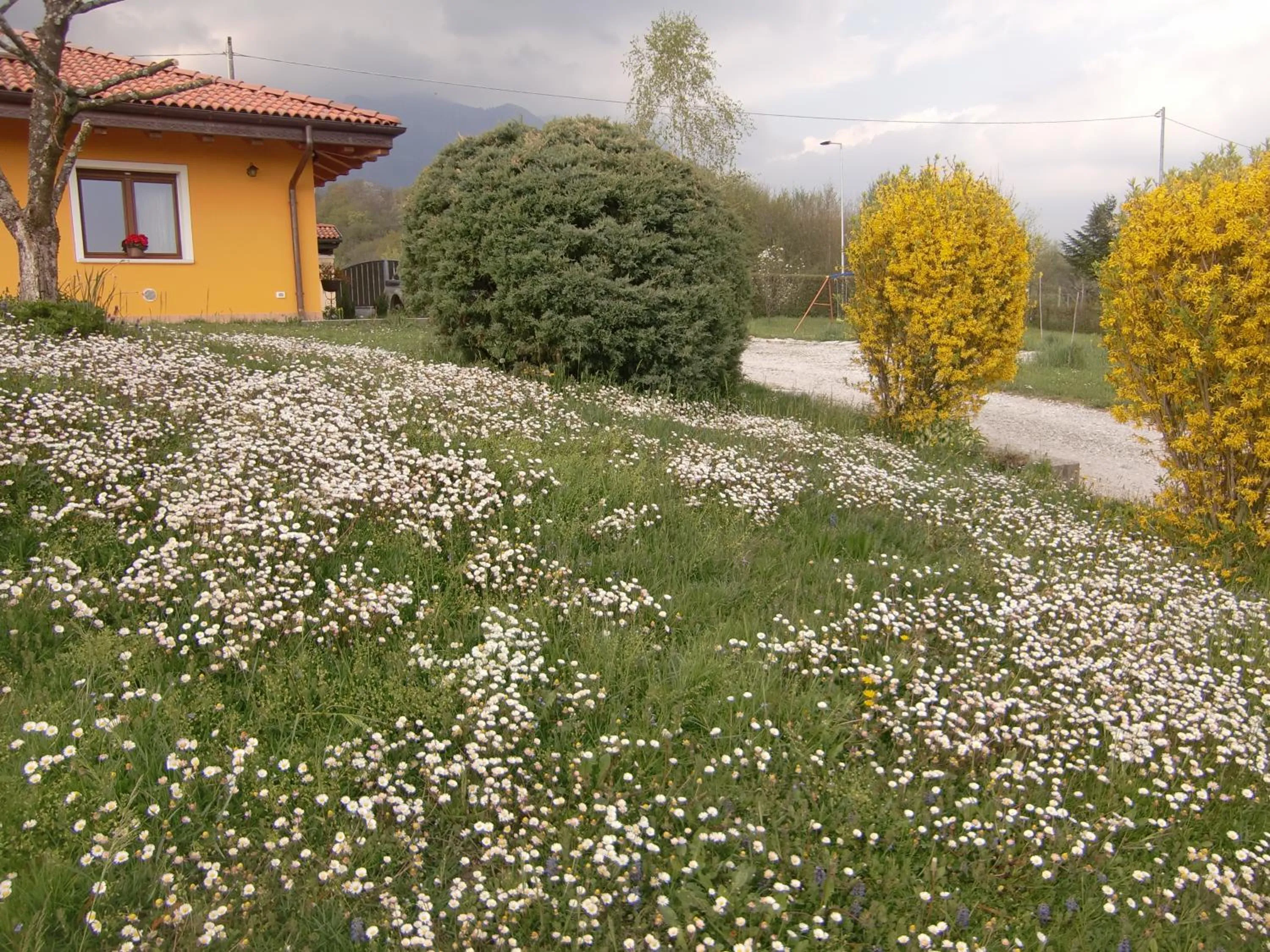 Spring in B&B Dolomitincanto