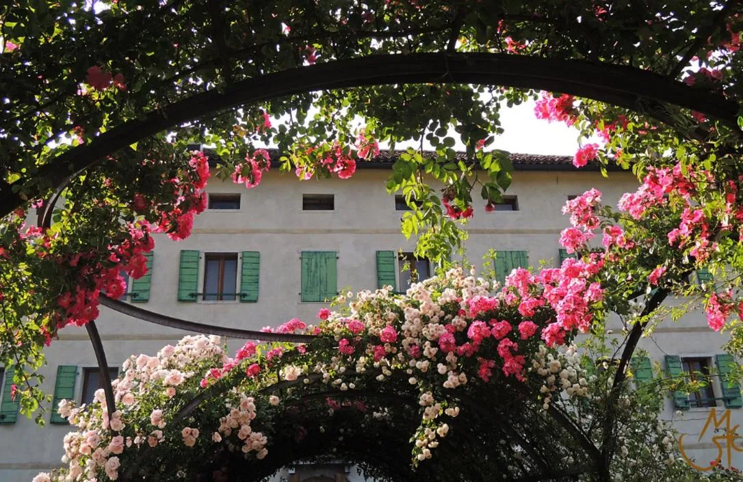 Garden in B&B Dolomitincanto