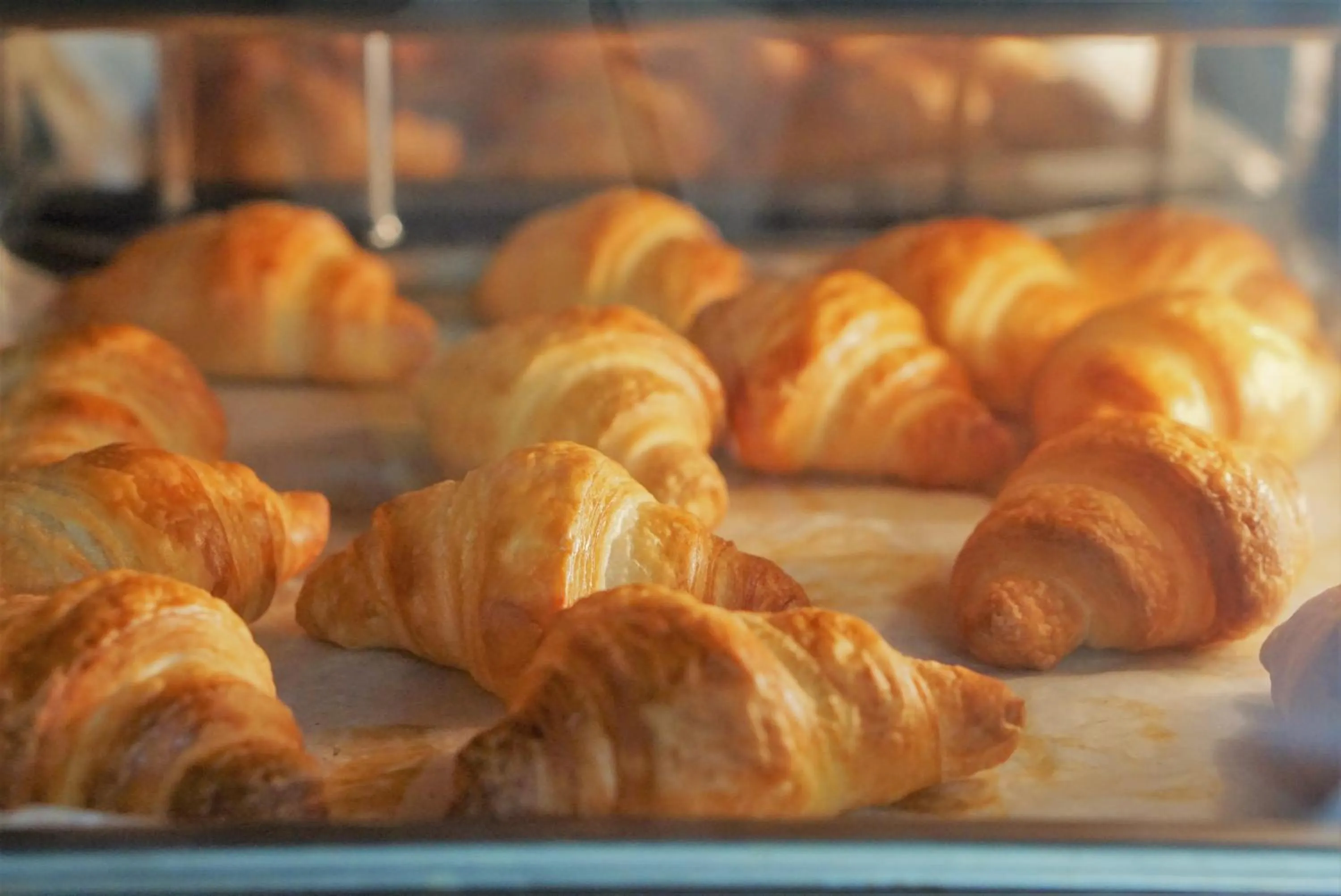 Breakfast in Kansai Airport First Hotel