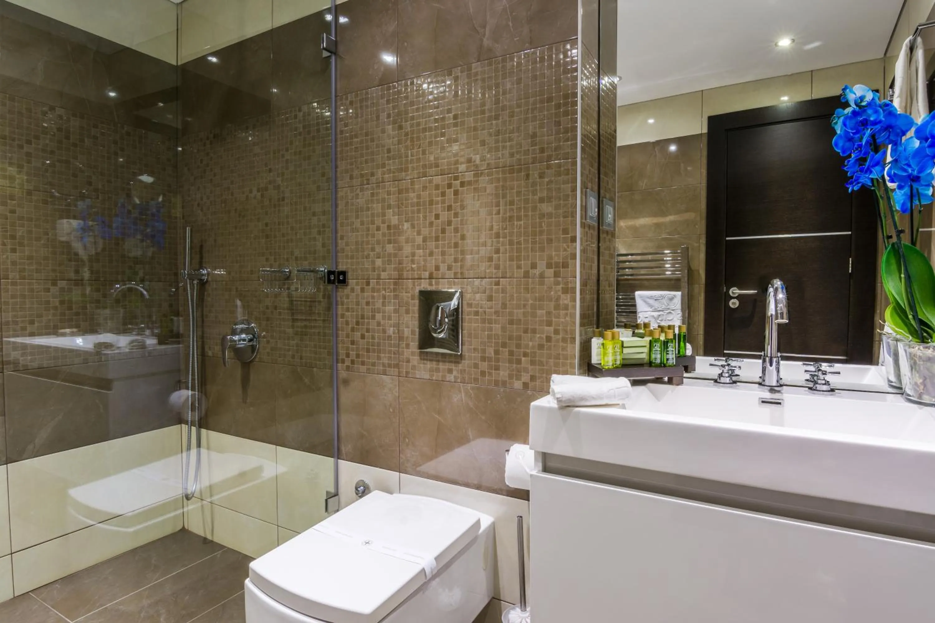 Shower in Best Western Plus Olives City Hotel - Free Pool & Parking