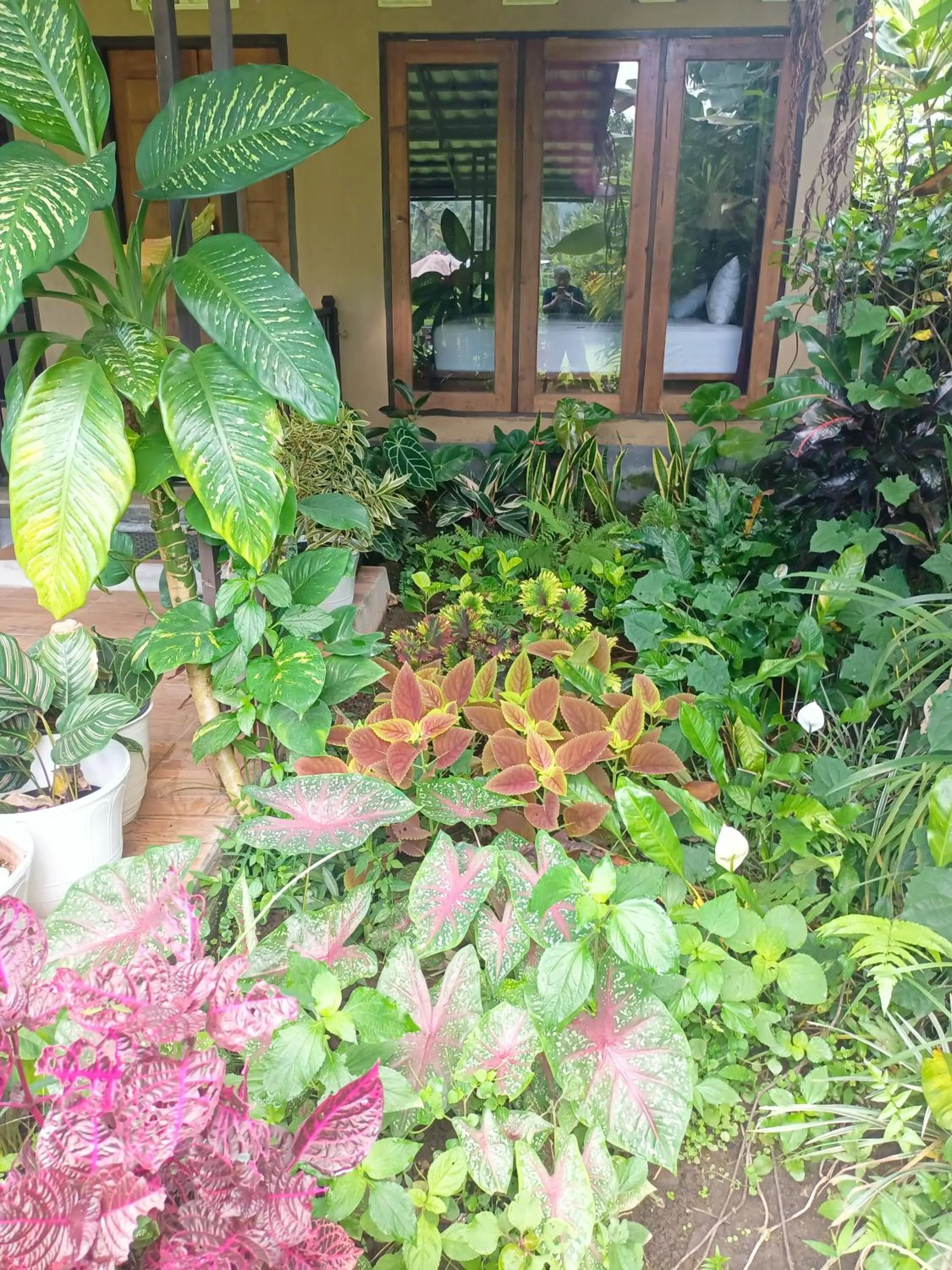 Patio in Amartya Puri Green Cottages