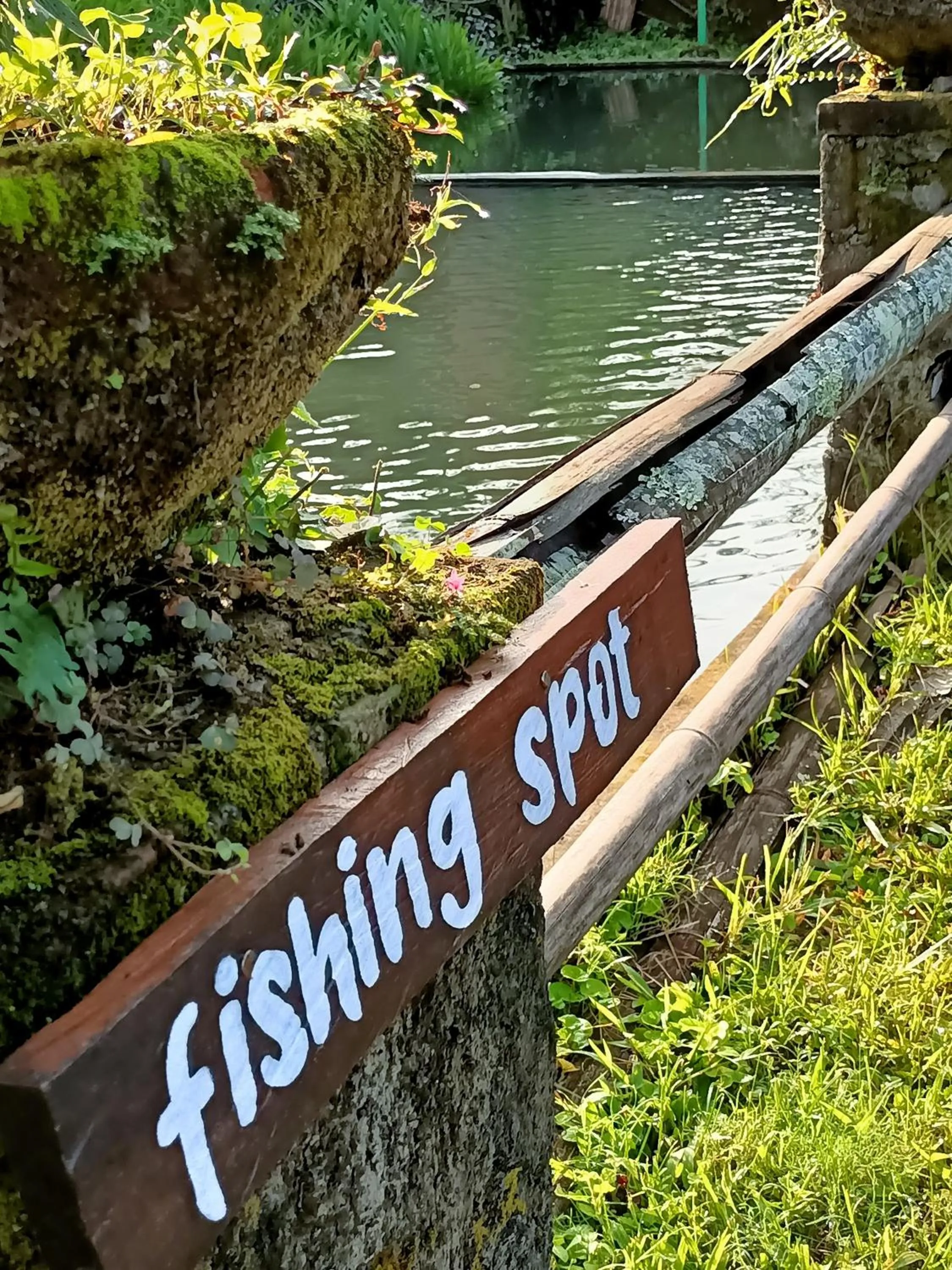 Restaurant/places to eat in Amartya Puri Green Cottages