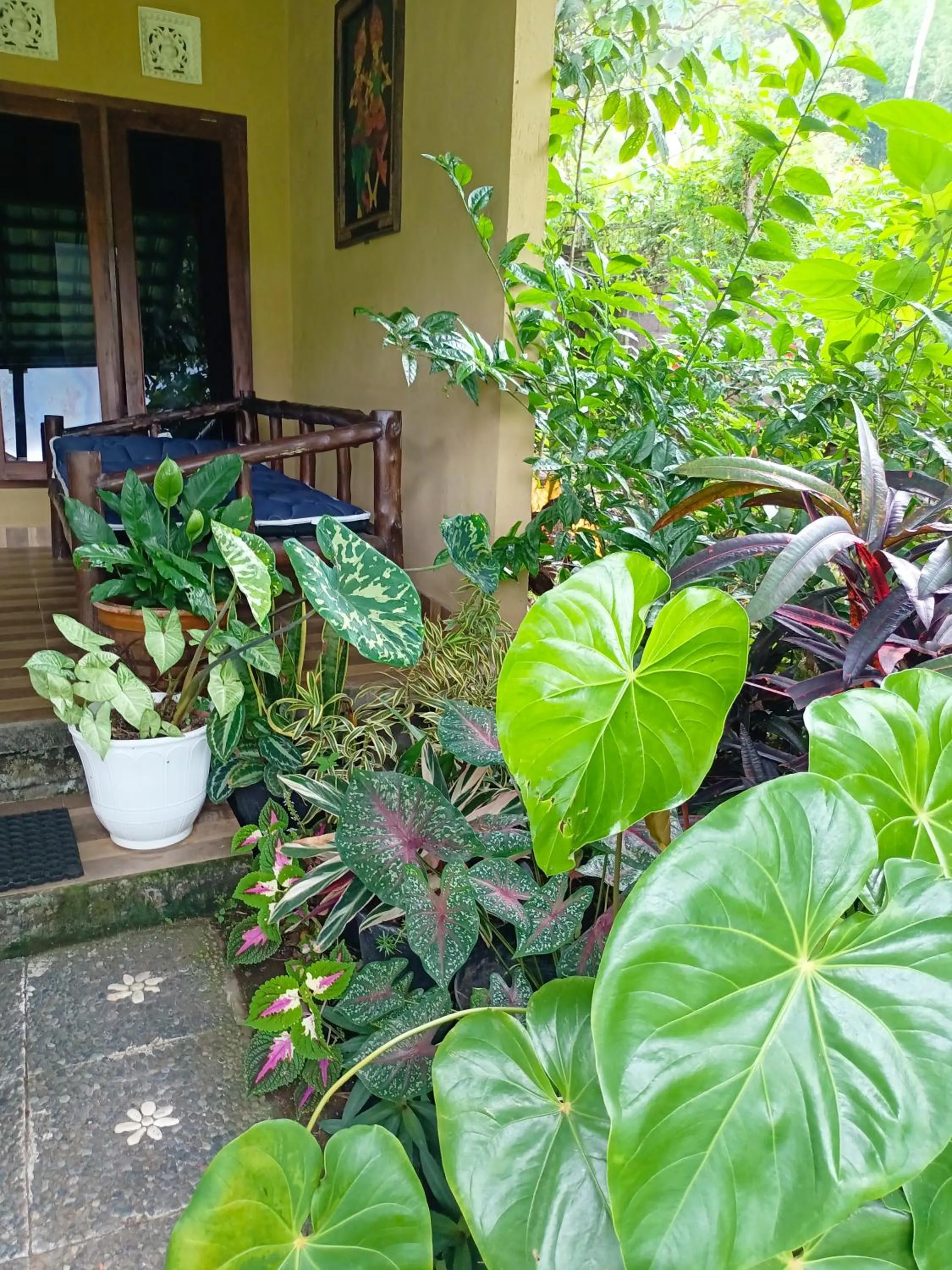 Patio in Amartya Puri Green Cottages