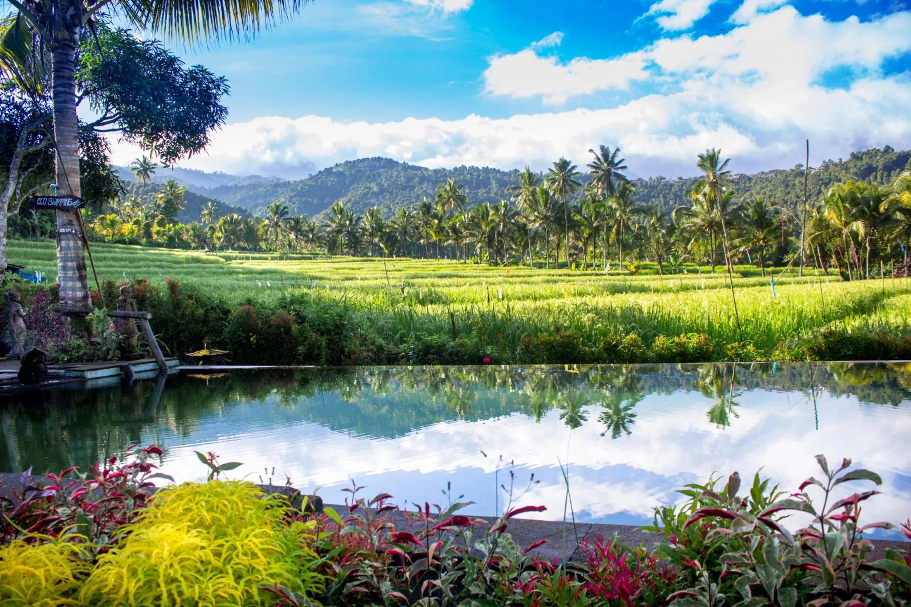 Garden view in Amartya Puri Green Cottages