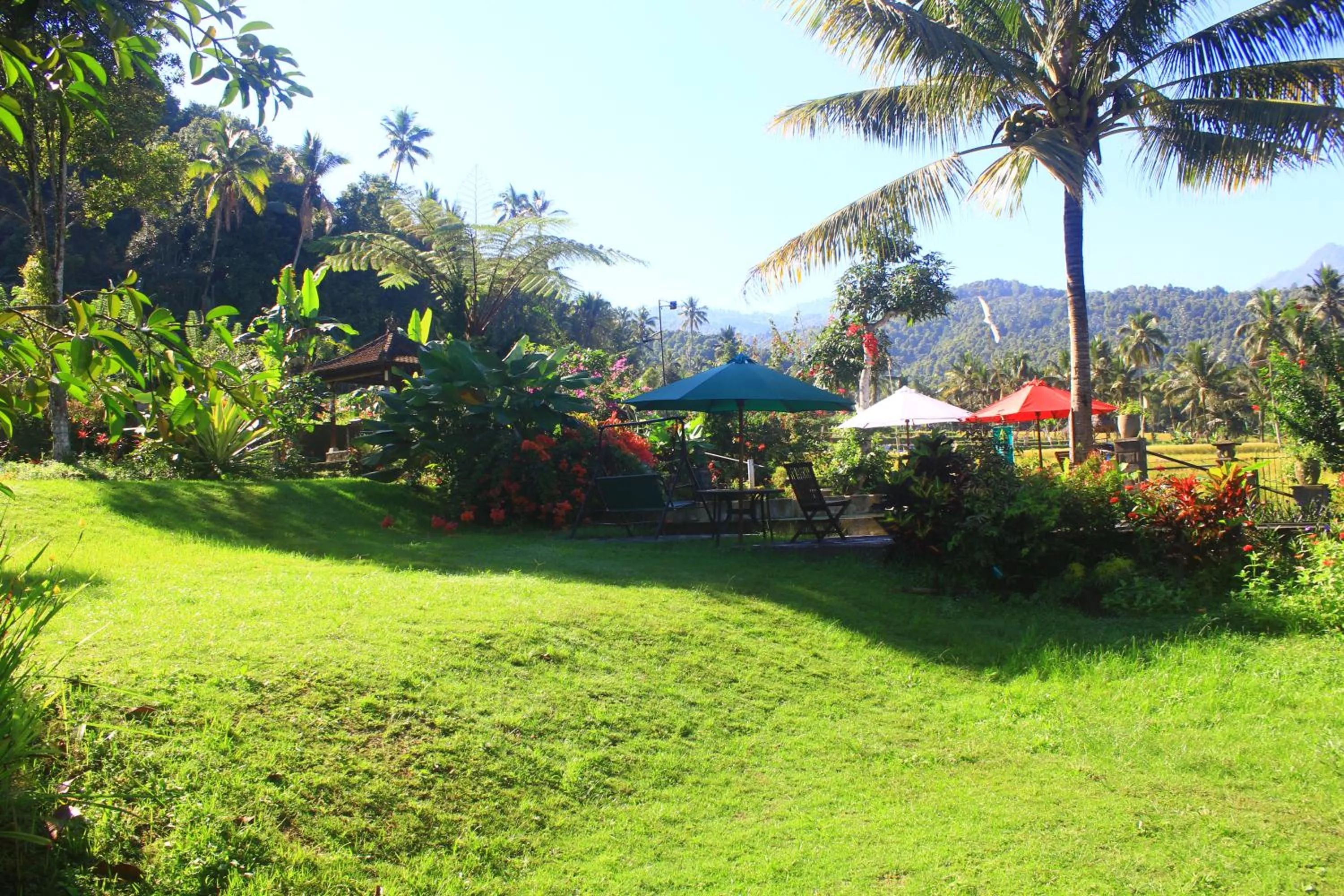 Garden in Amartya Puri Green Cottages