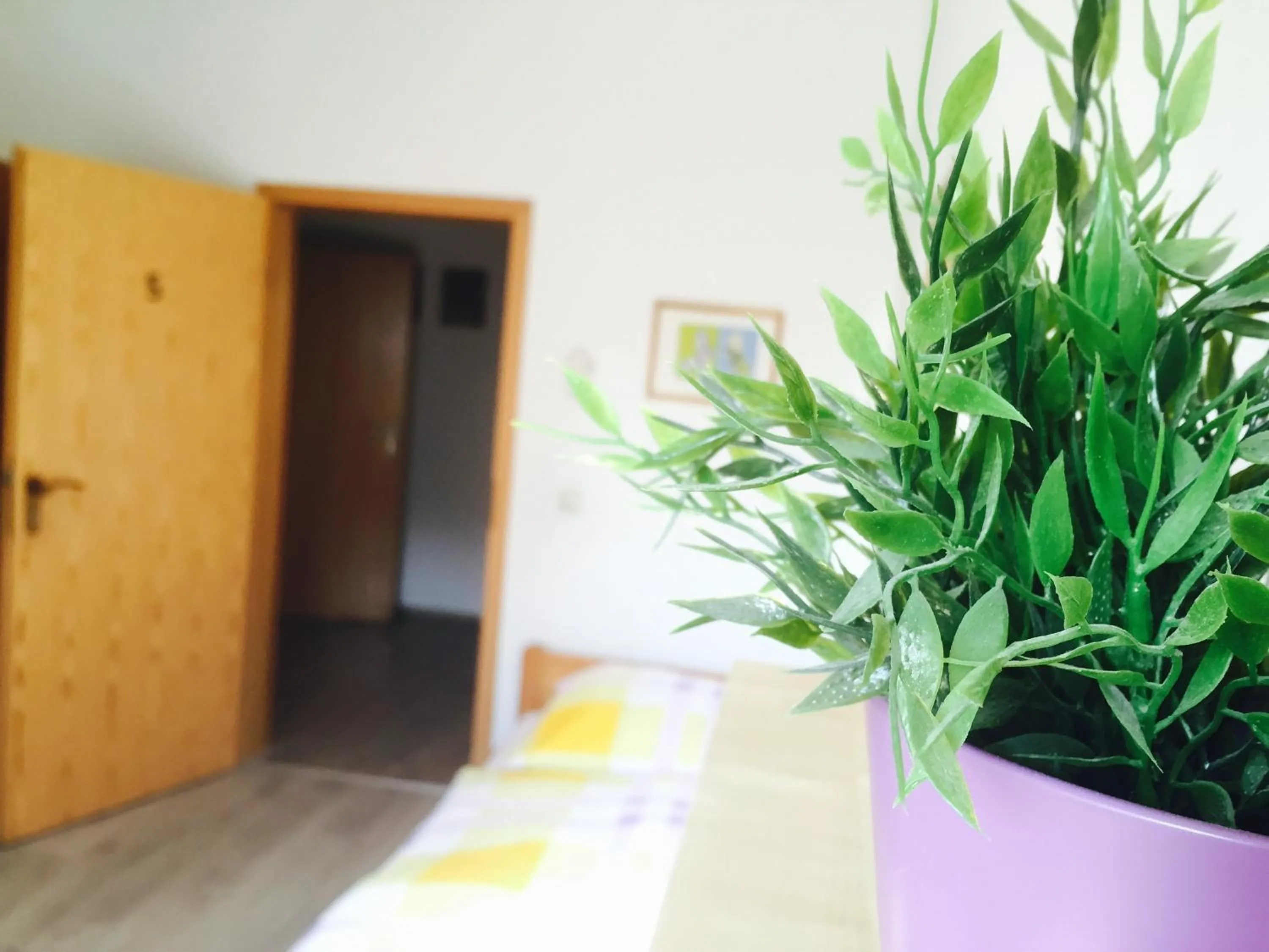 Single Room with Bathroom - single occupancy in Rael-Boardinghouse