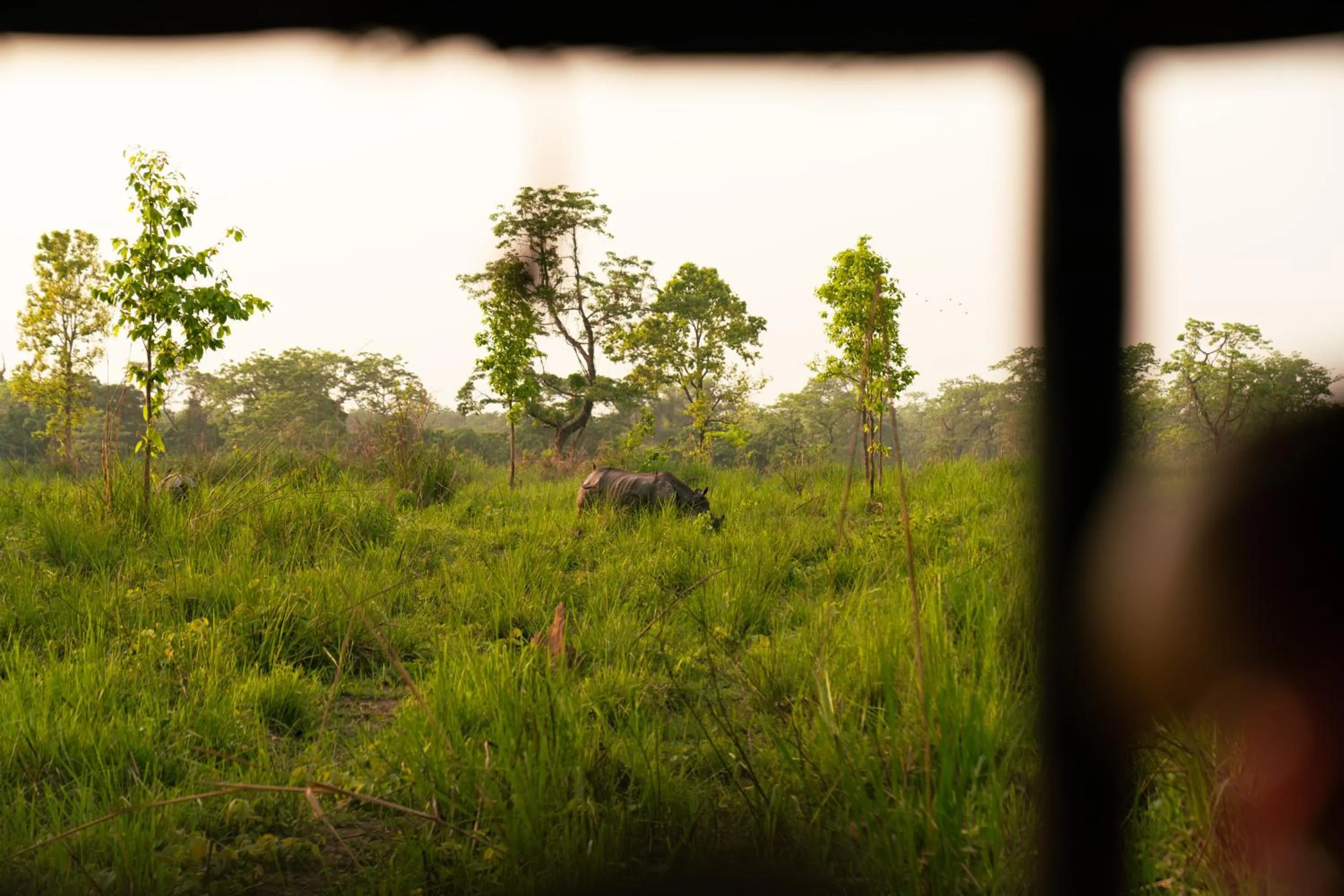 Off site in Kasara Chitwan