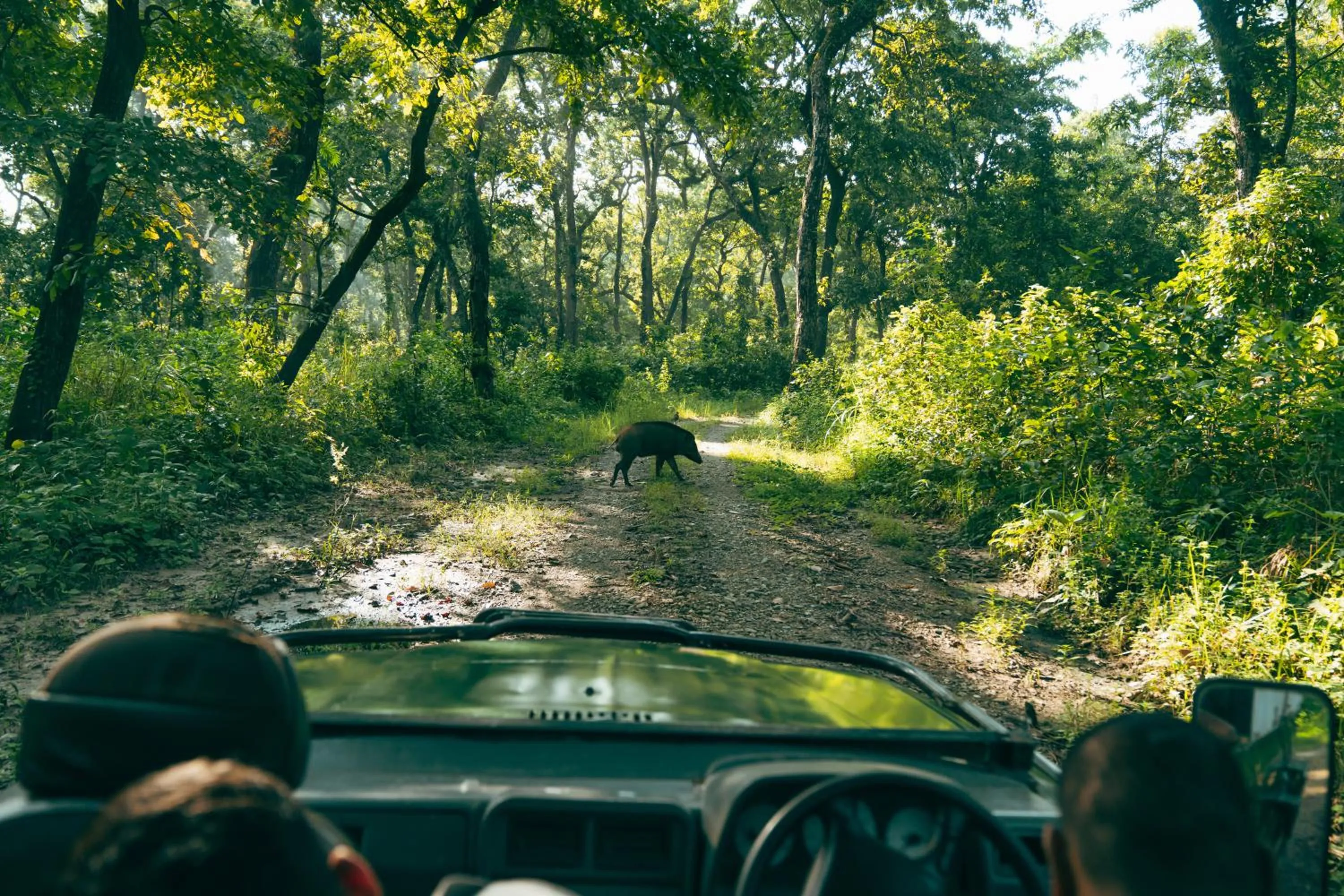 Activities in Kasara Chitwan