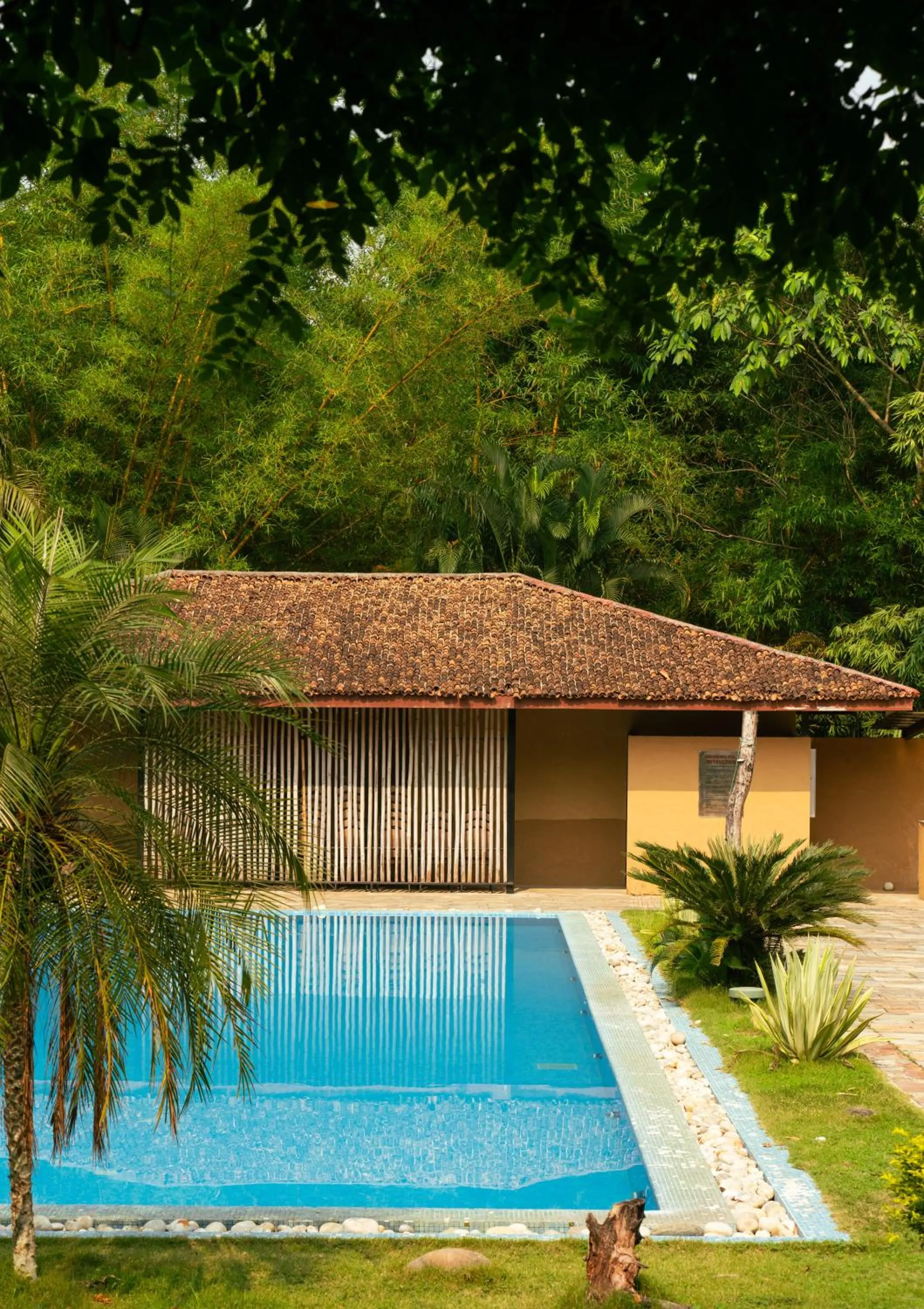 Property building in Kasara Chitwan