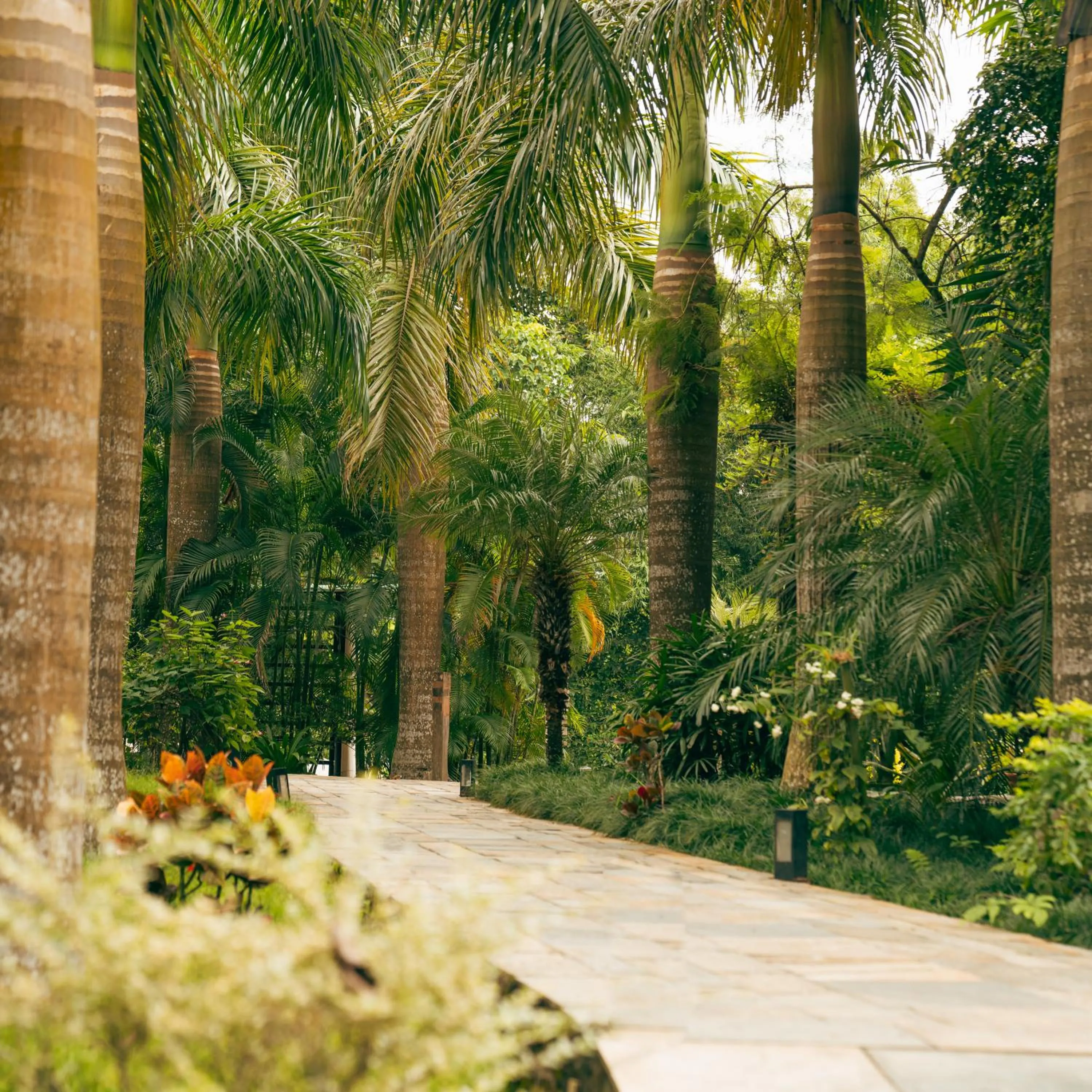 Garden in Kasara Chitwan