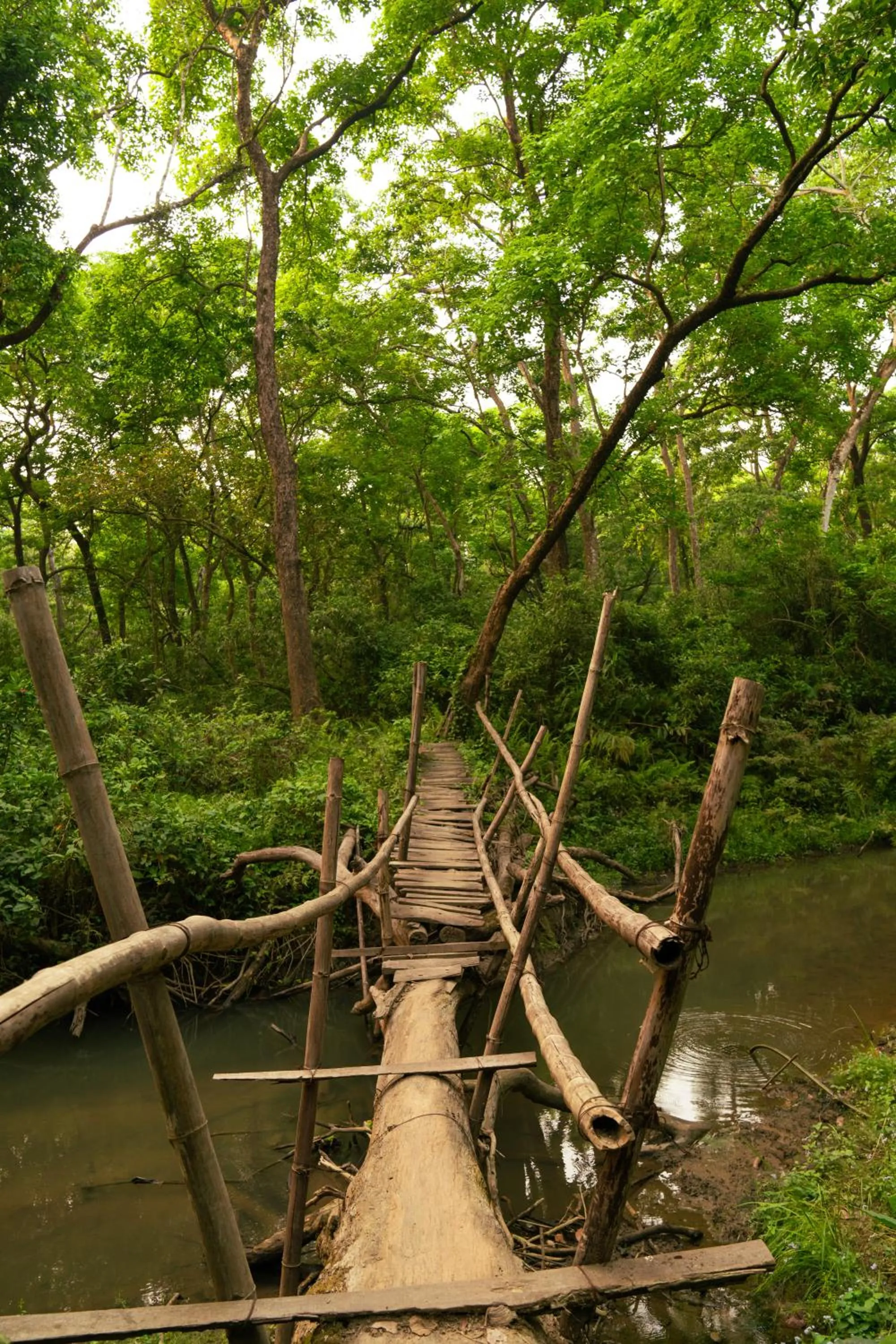 Activities in Kasara Chitwan