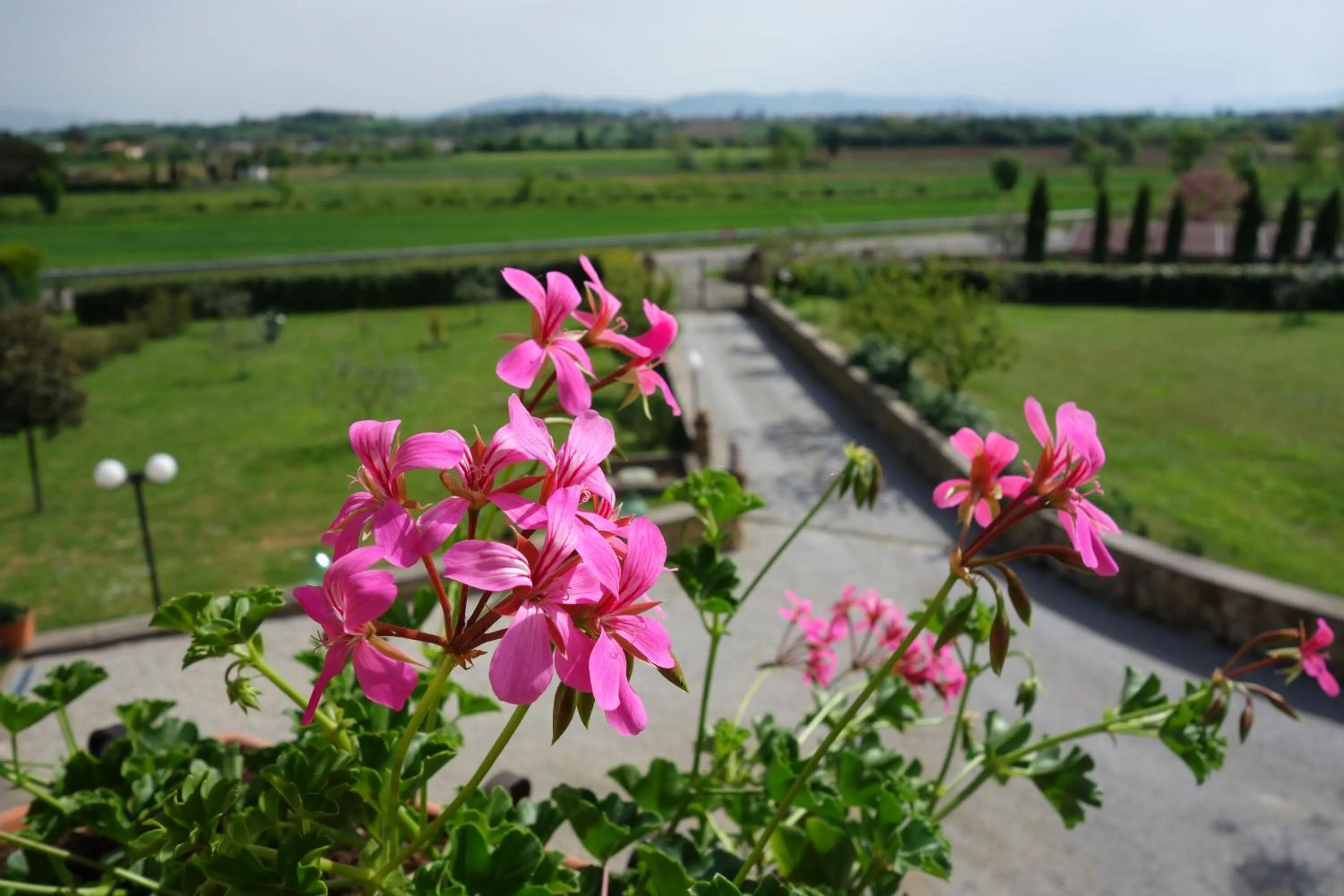 Natural landscape in Casa Aloe B&B