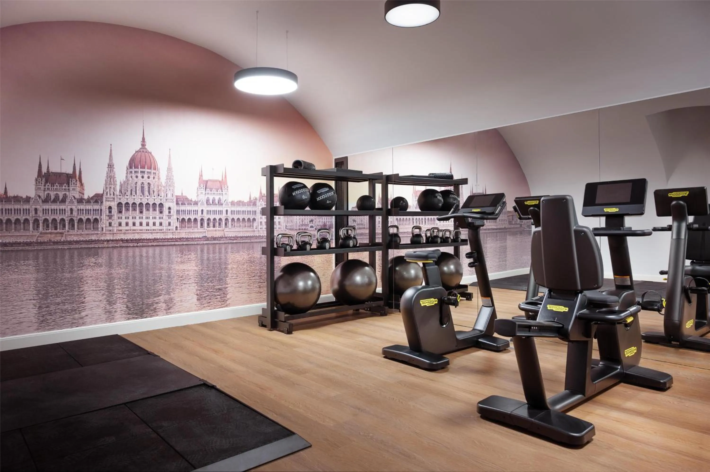 Fitness centre/facilities in Radisson Collection Hotel, Basilica Budapest