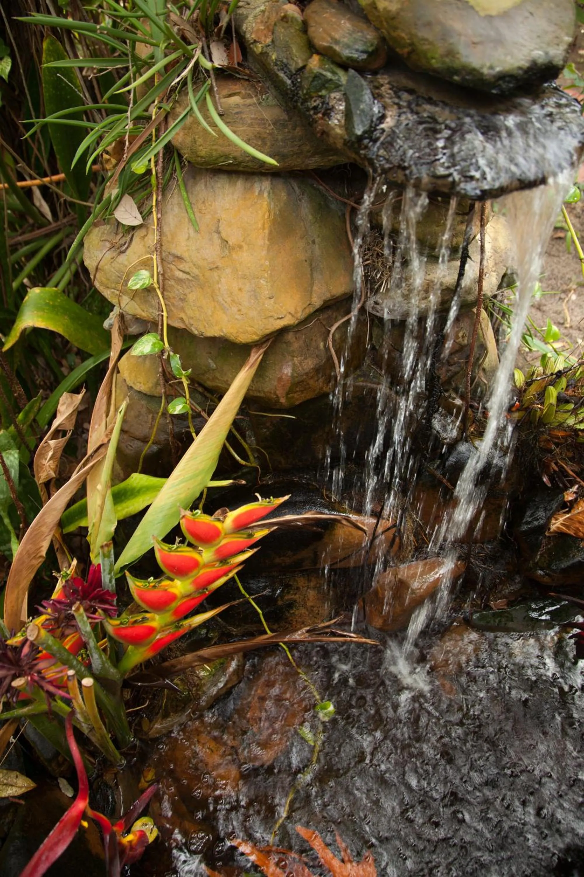View (from property/room) in Azure Del Mar
