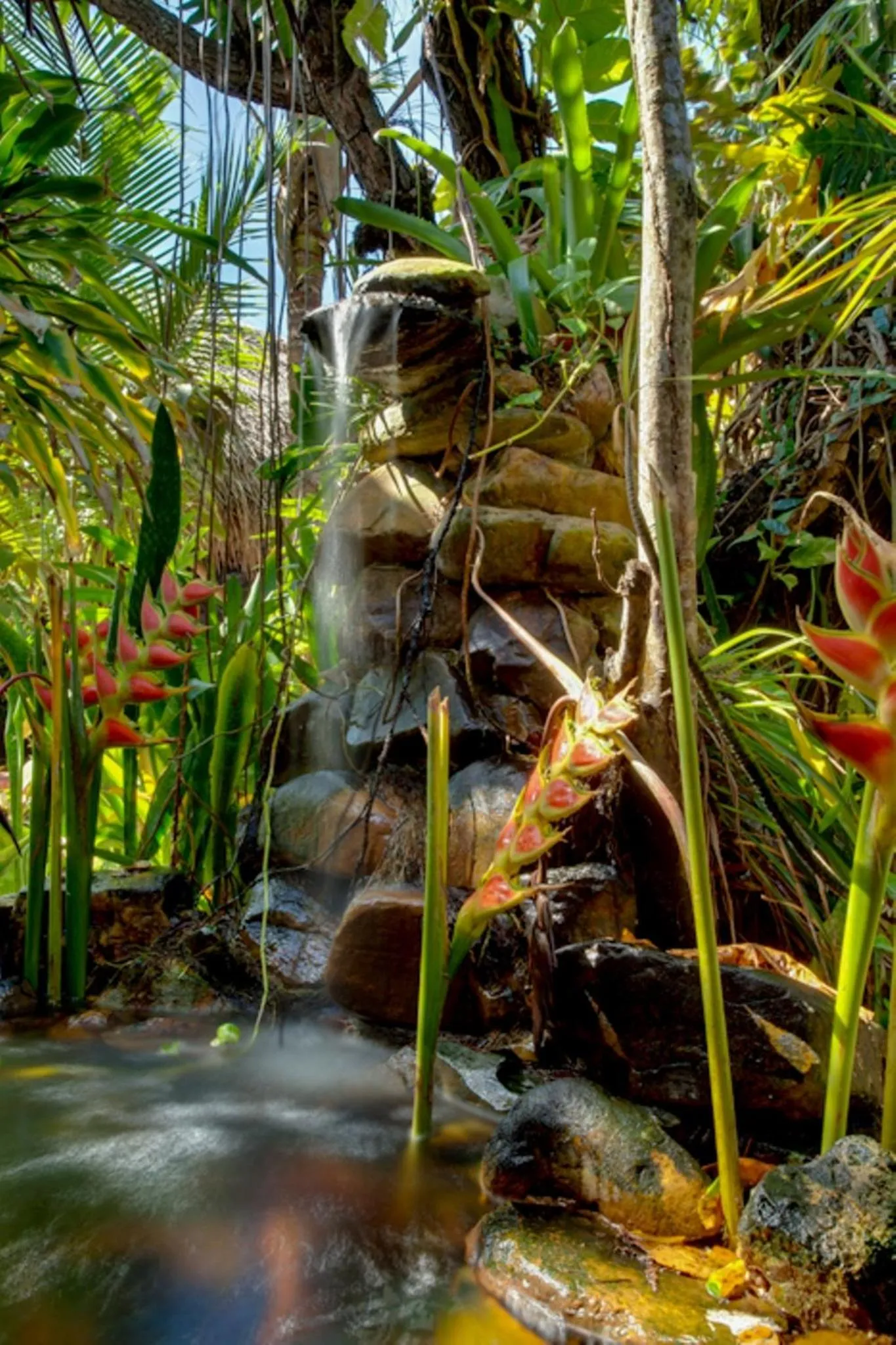 Other in Azure Del Mar