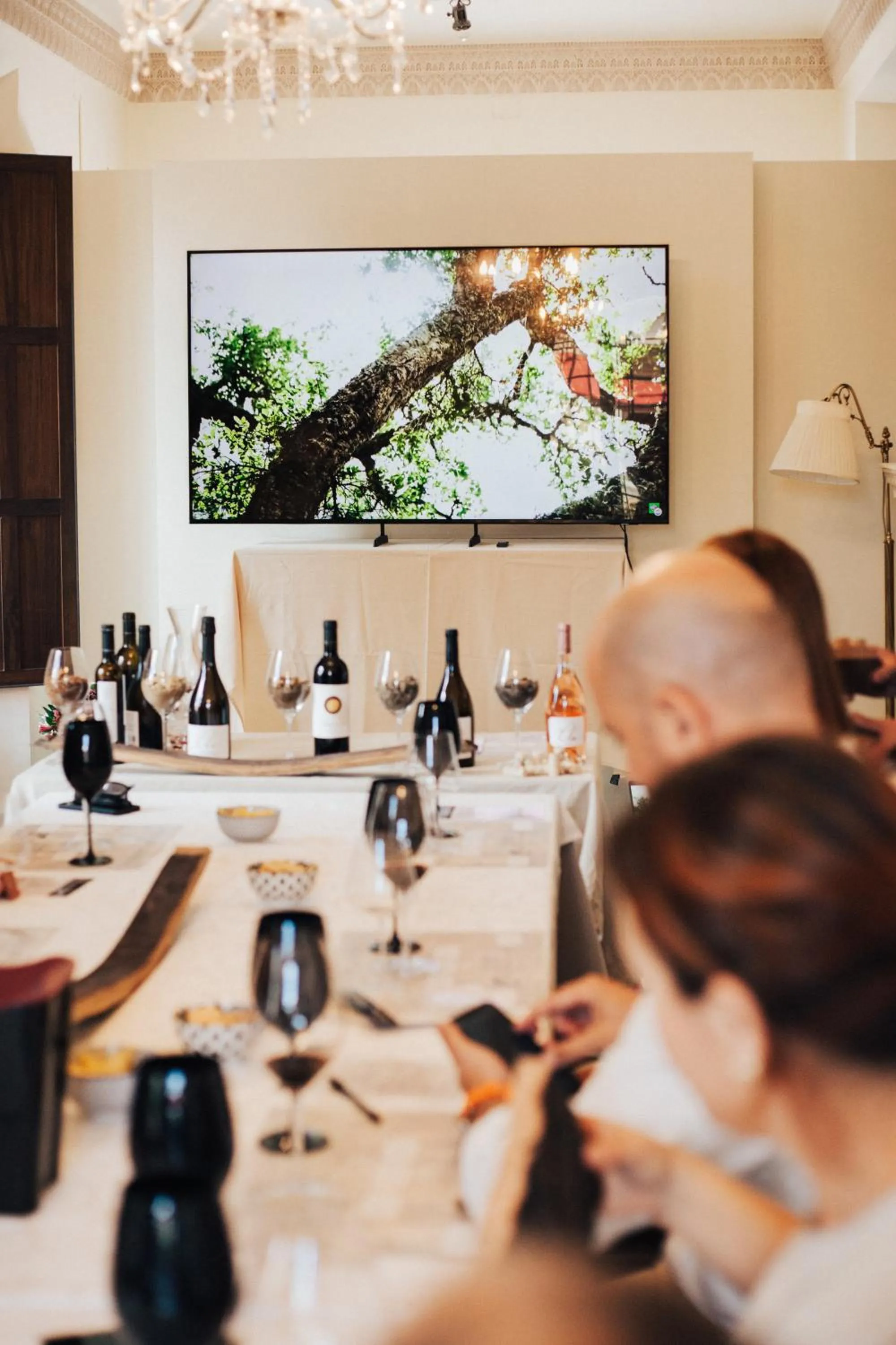 Hotel Palacio de Hemingway