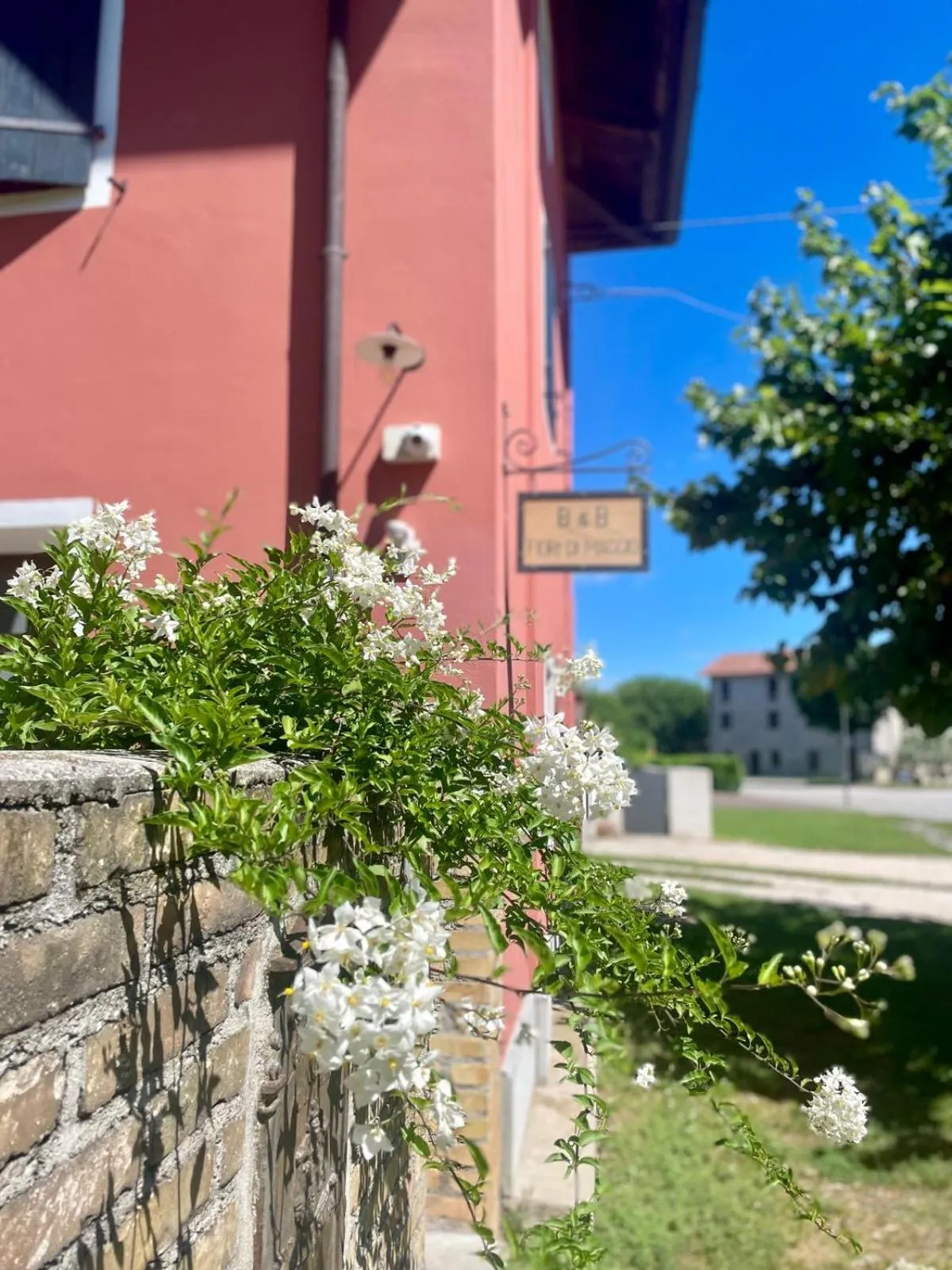 Property building in Fiori Di Maggio