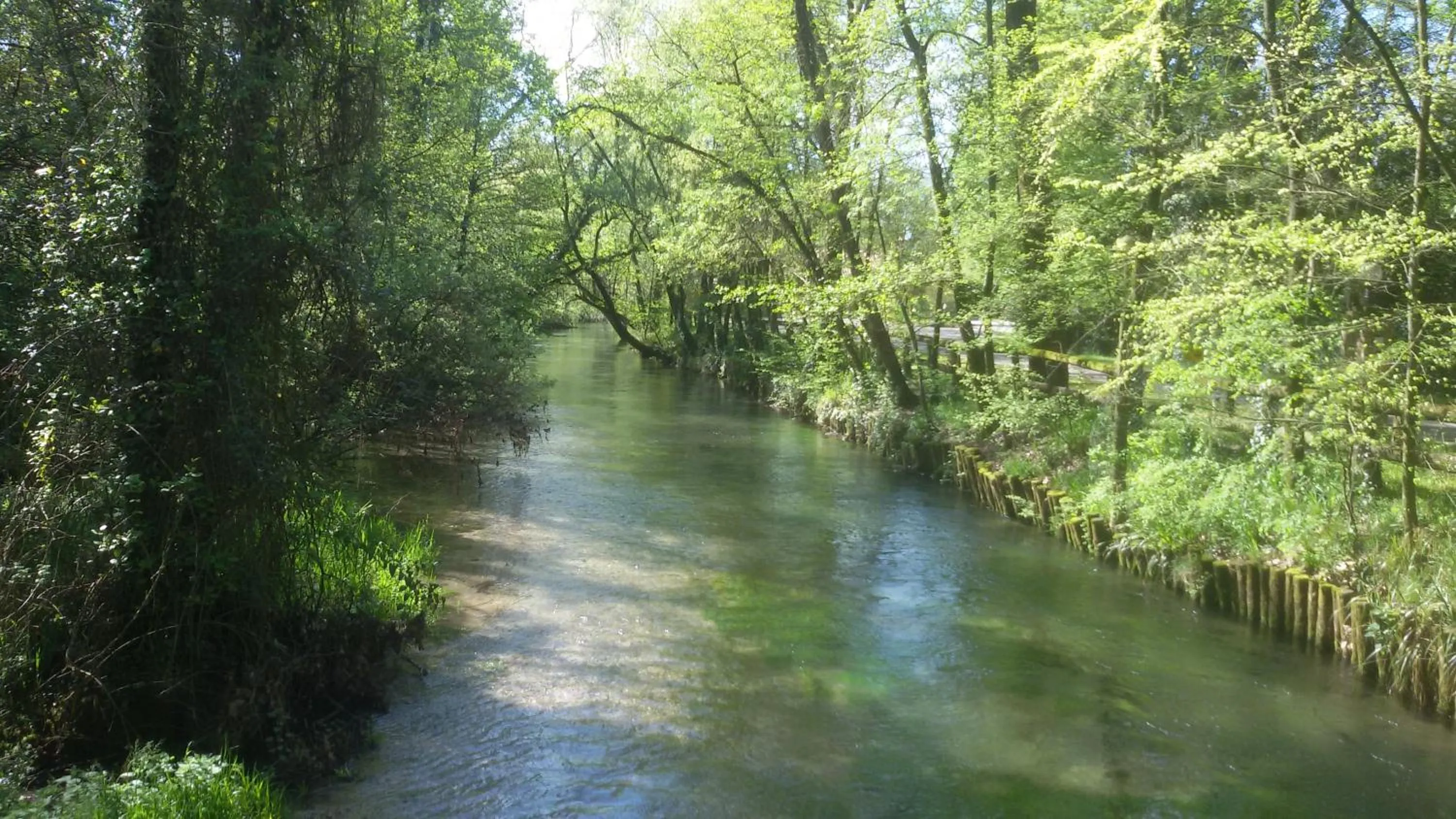 On site in Fiori Di Maggio