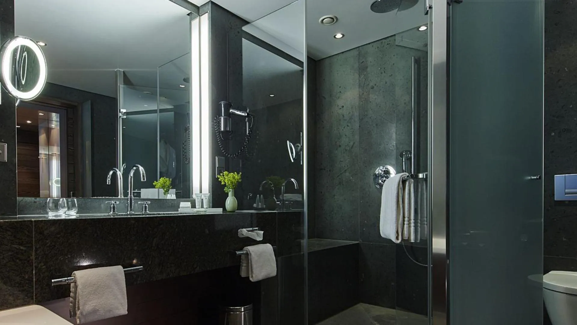 Toilet in Kempinski Hotel Berchtesgaden