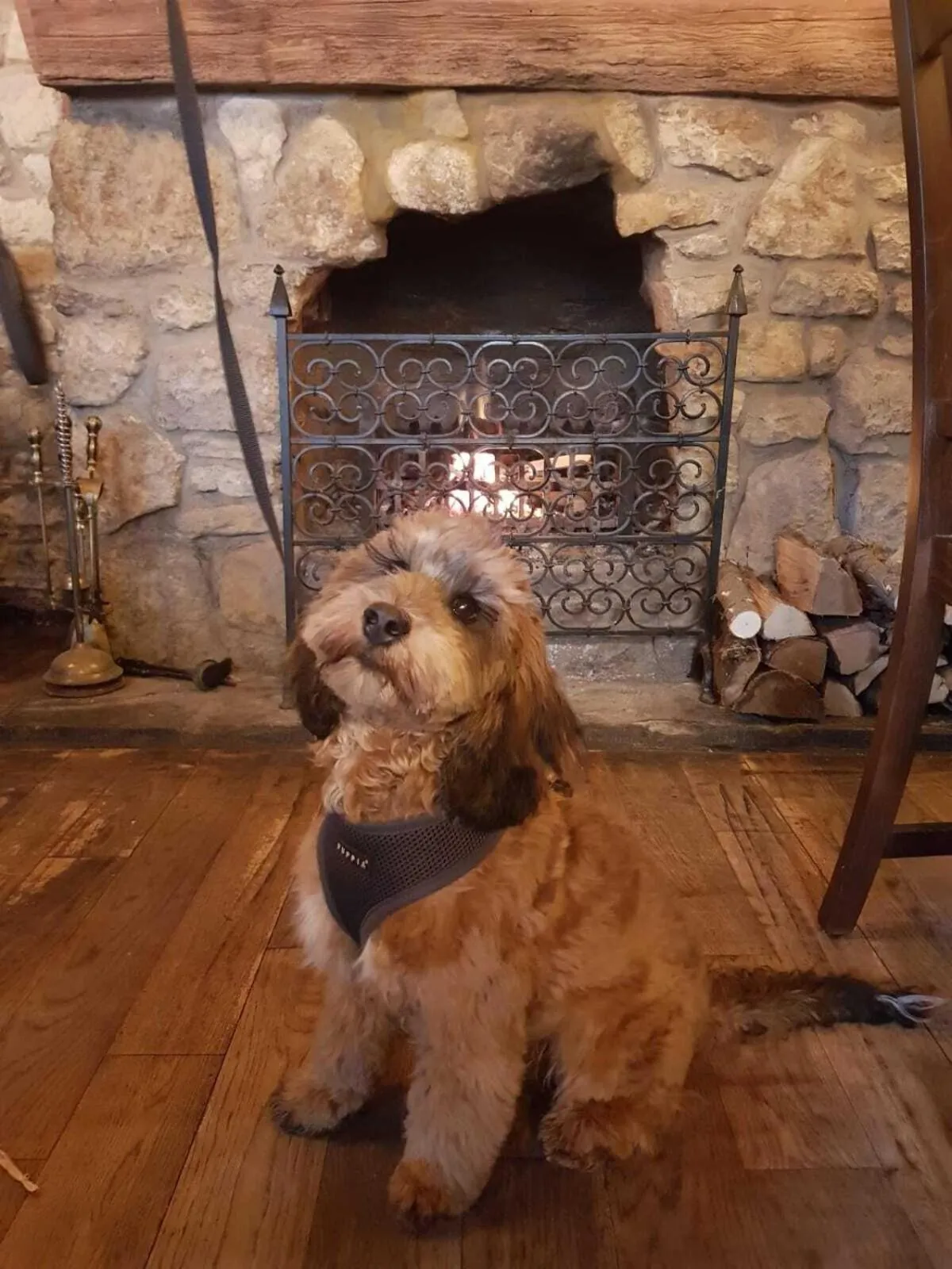 Lounge or bar in Duke William Hotel