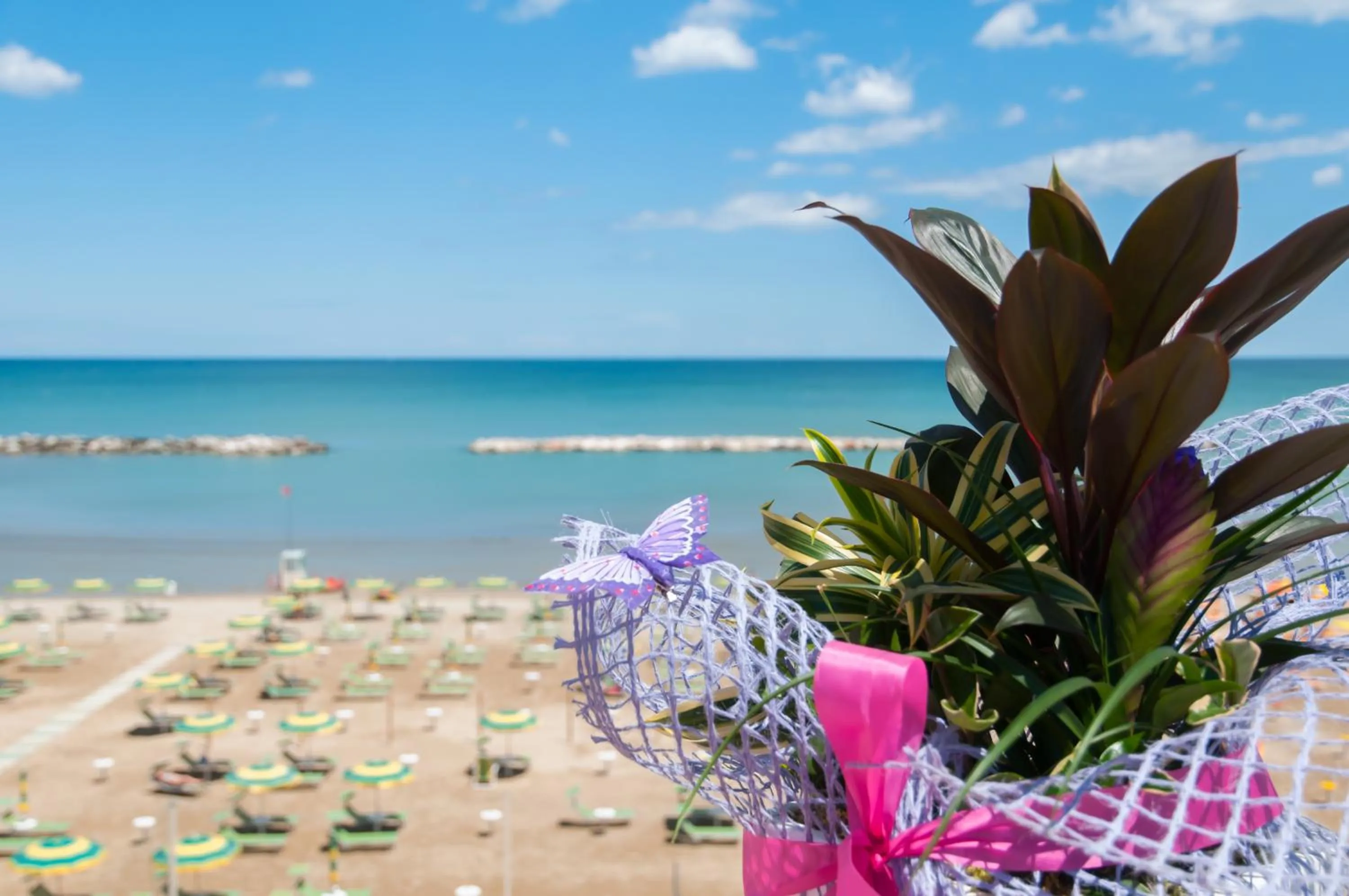 Balcony/Terrace in Hotel Eden