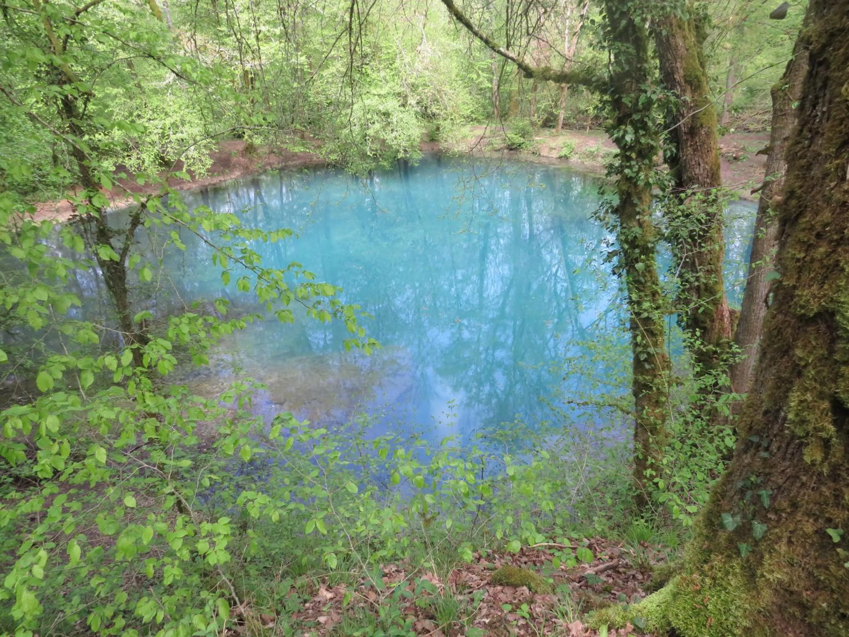 Neighbourhood in Grange d'Anjeux Bed & Breakfast