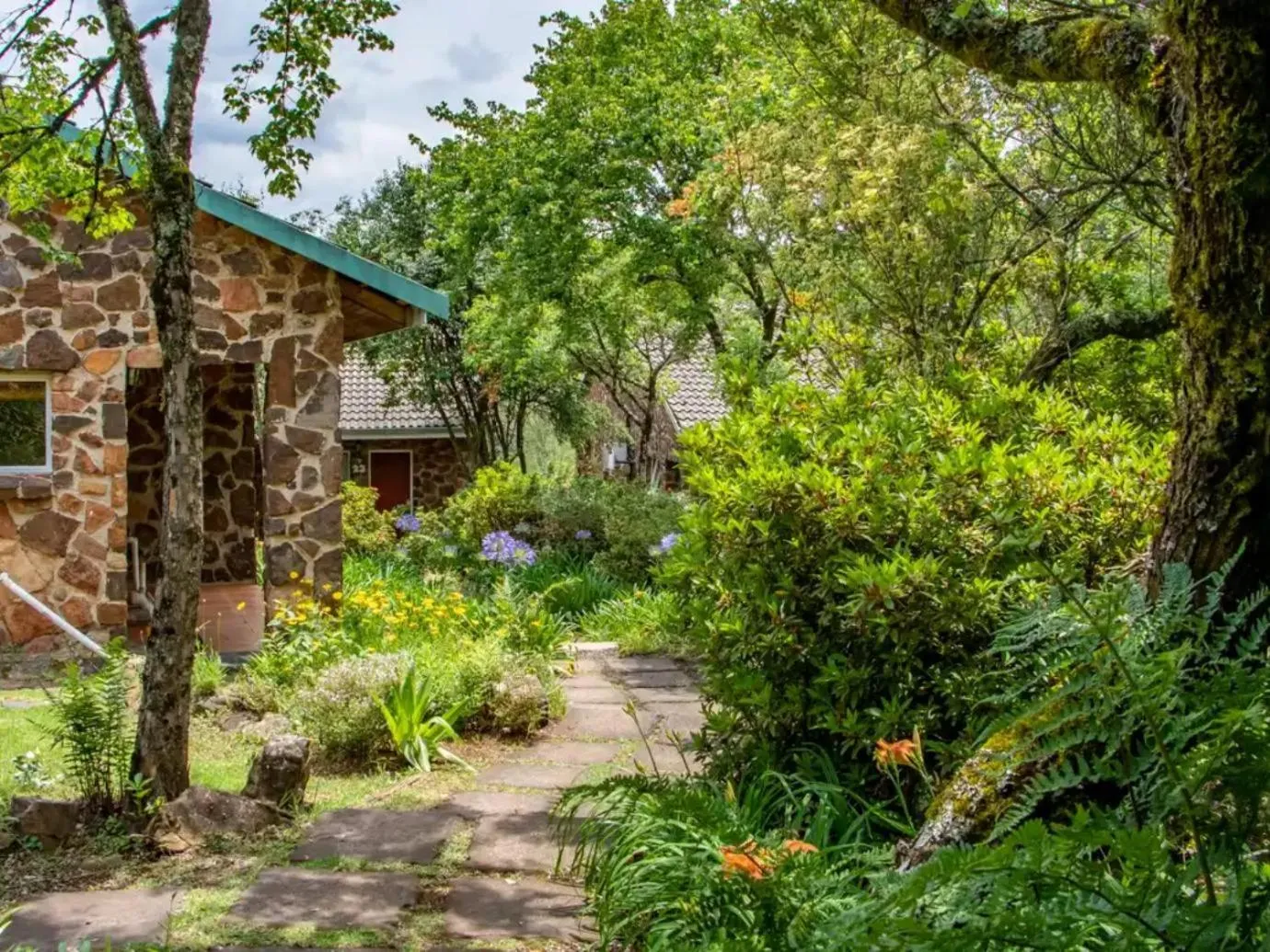Garden in Misty Mountain