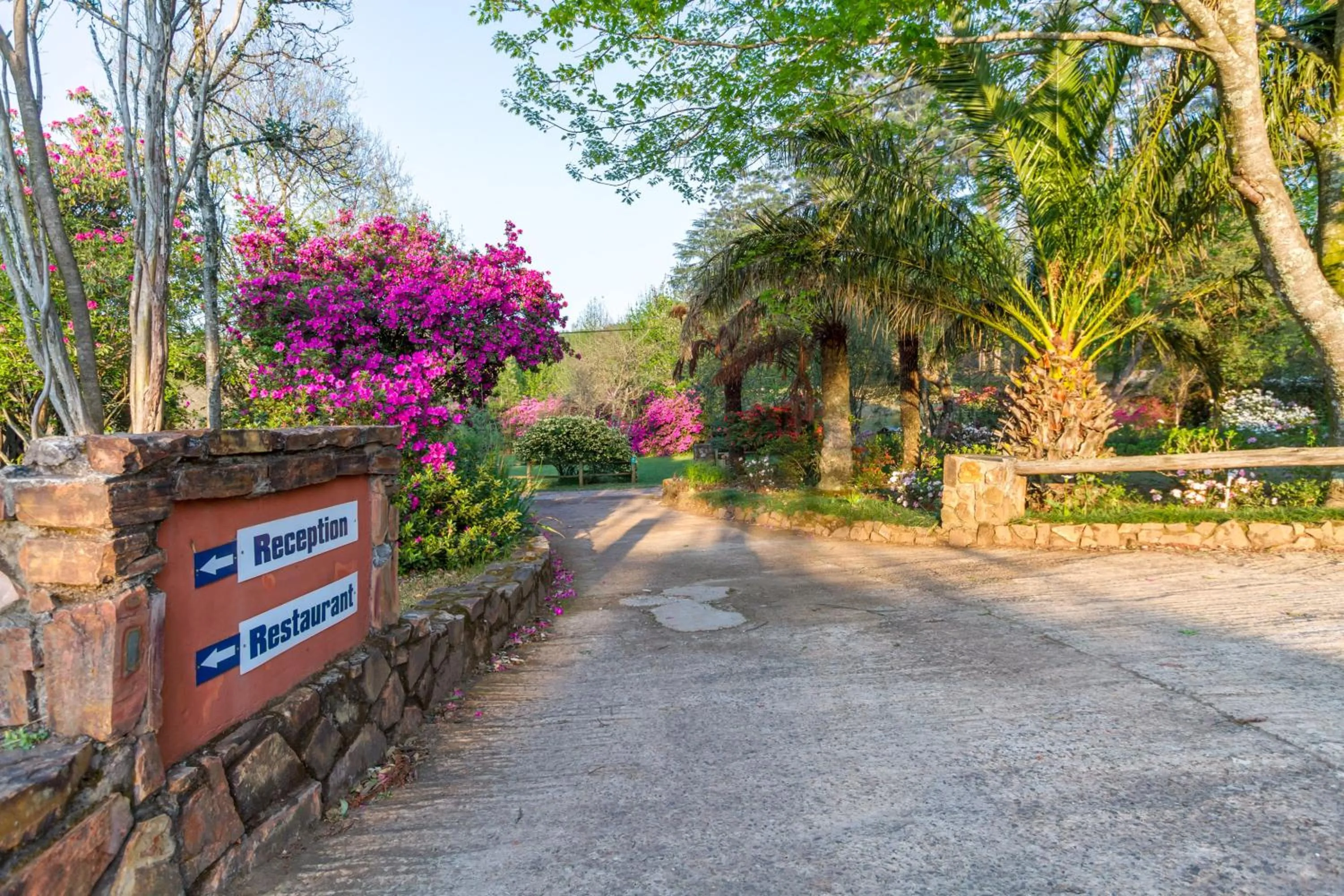 Facade/entrance in Misty Mountain