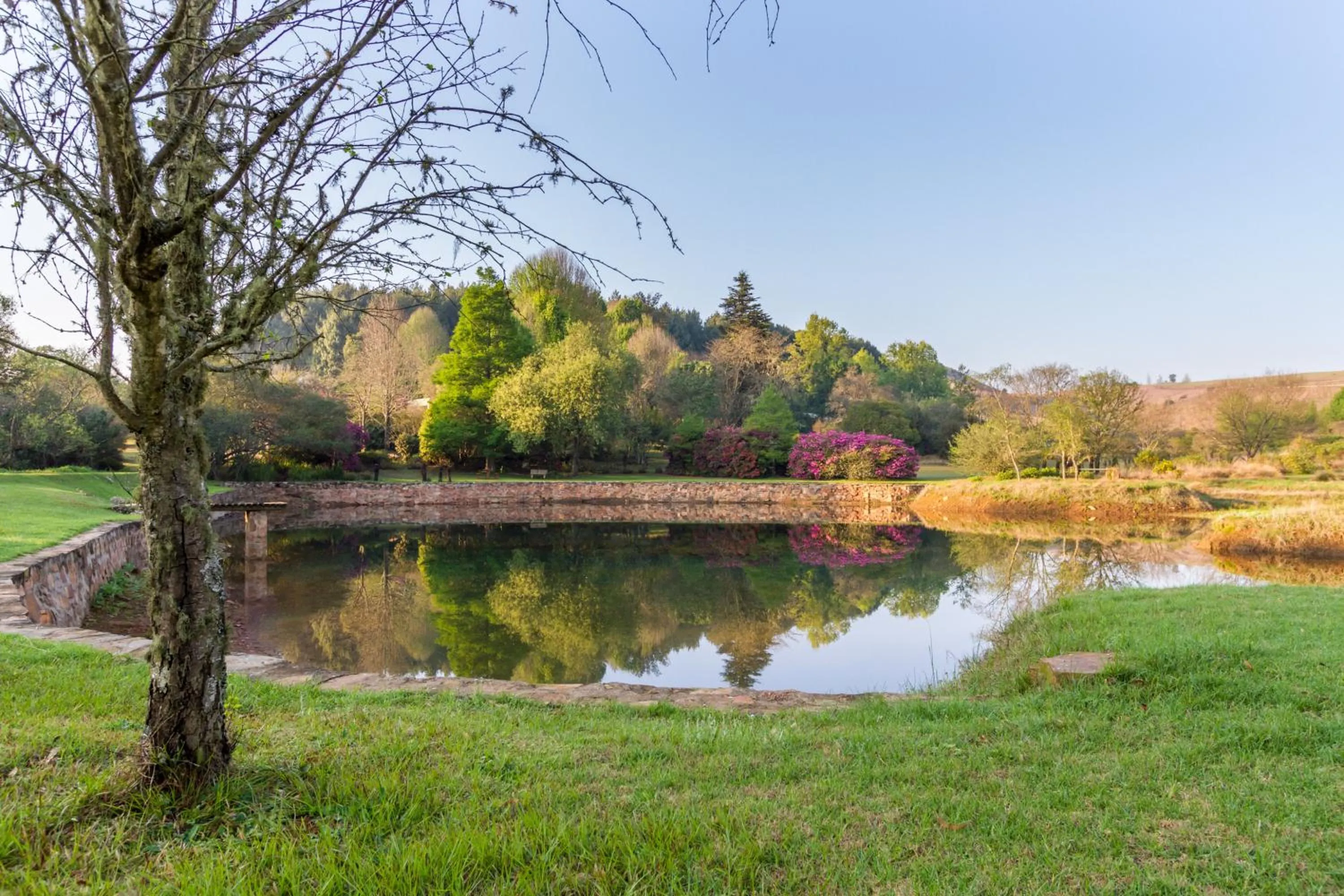 Lake view in Misty Mountain