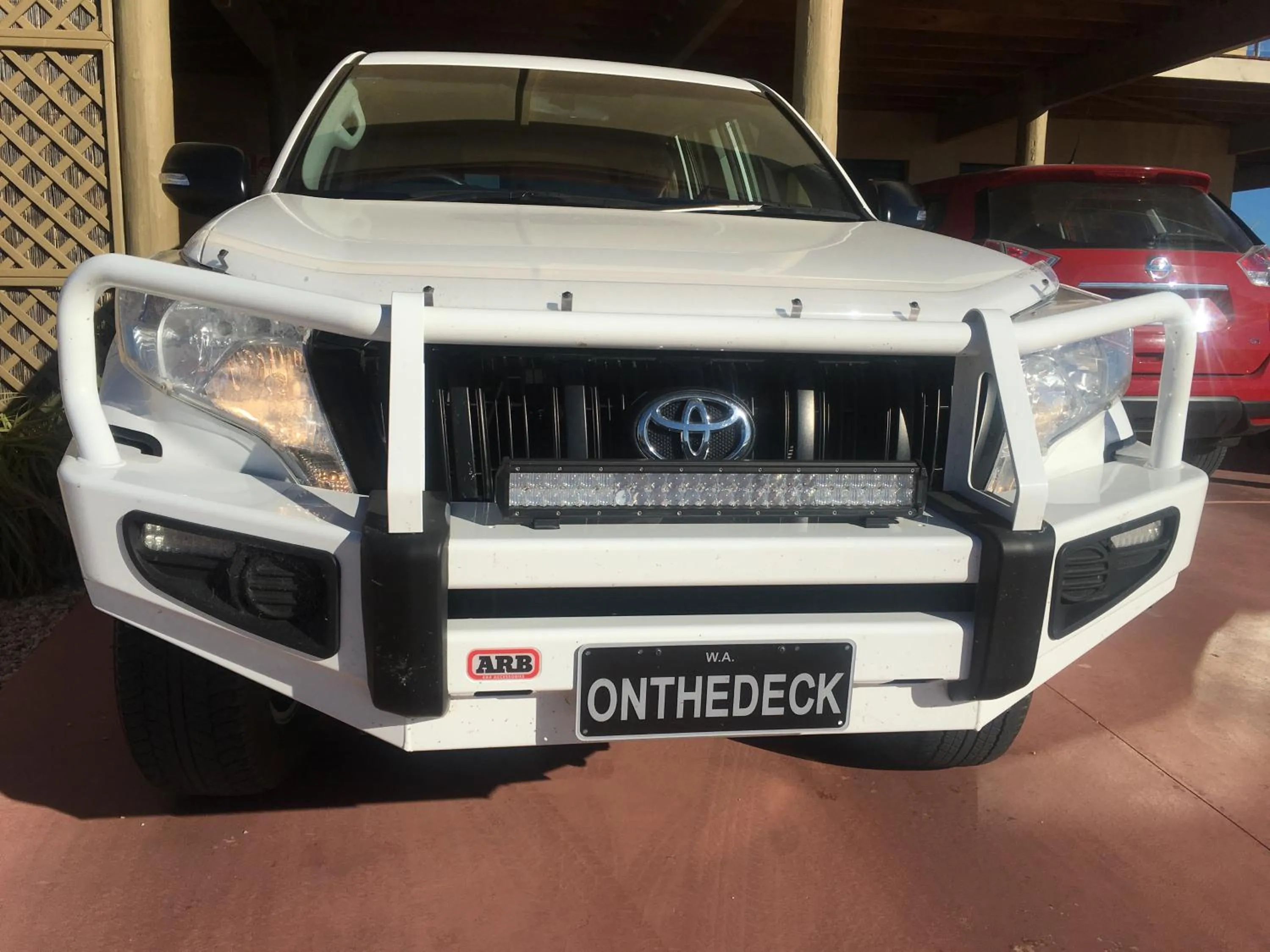 Activities in On the Deck @ Shark Bay