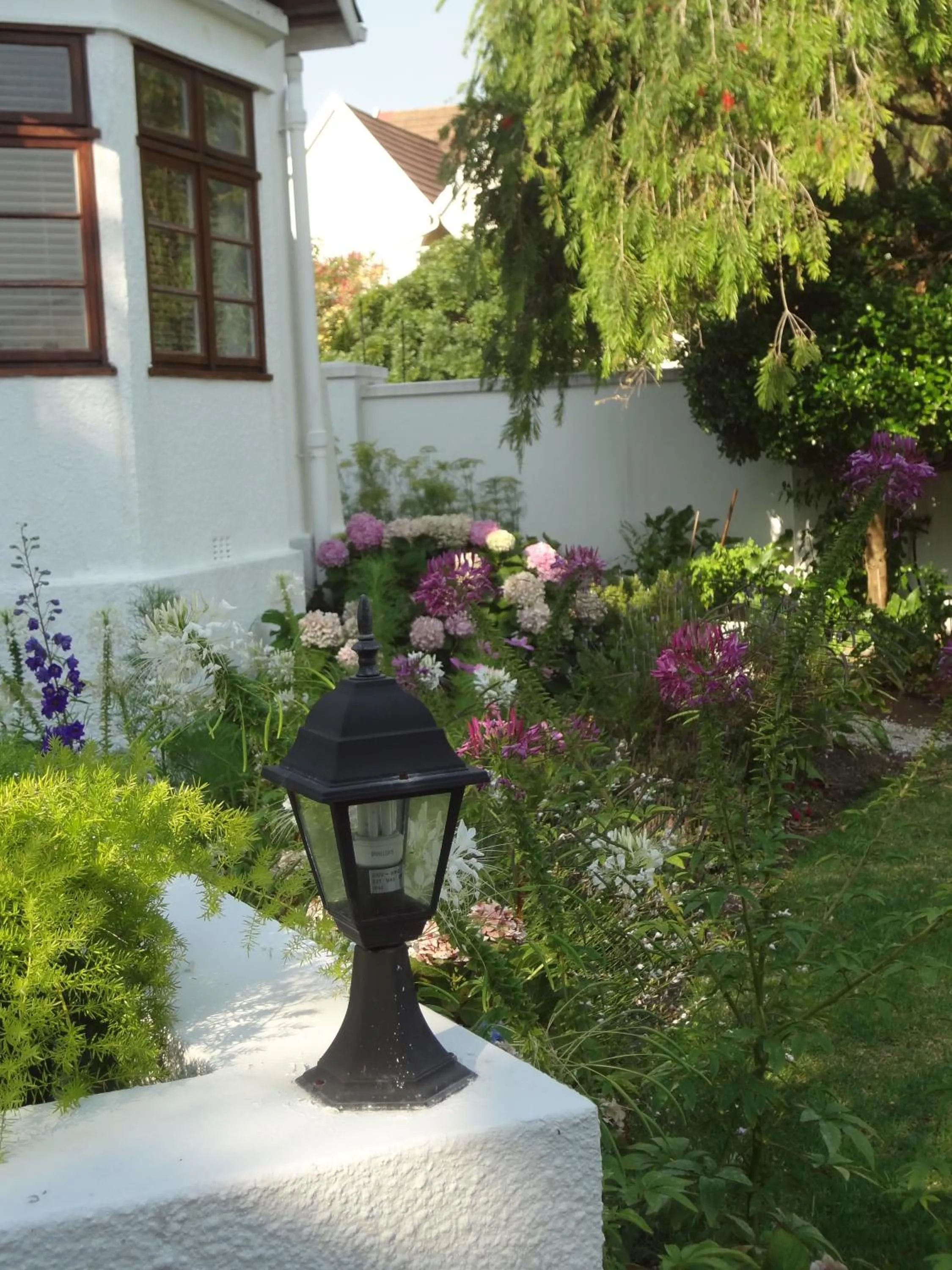 Garden in Walker Bay Manor Mansion PTY